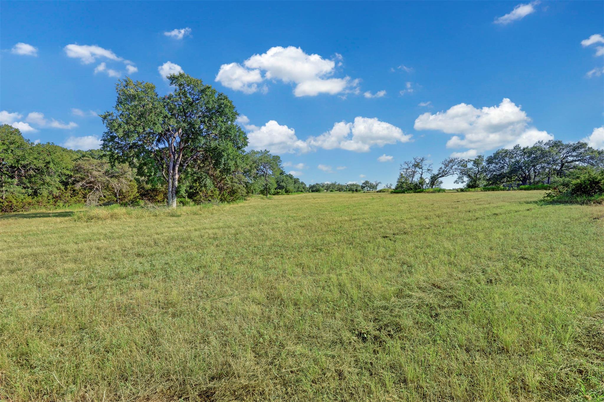2055 County Road 284 Parcel B Property Photo 9