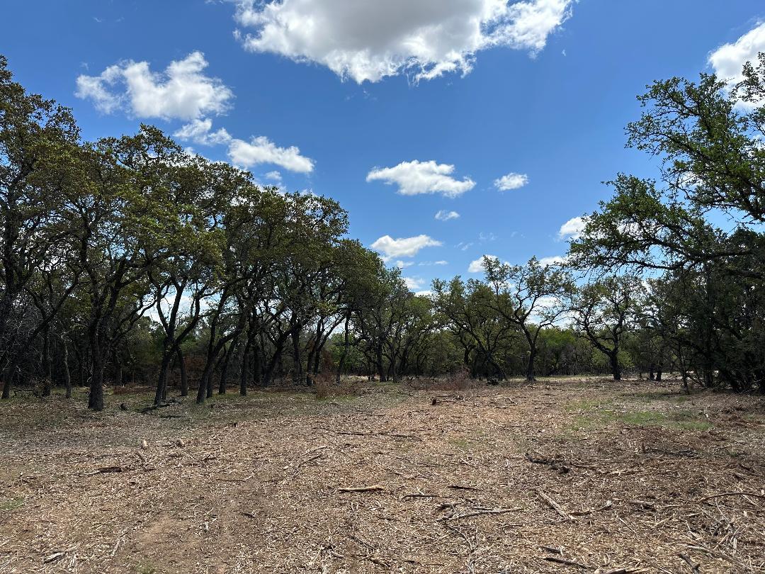 Tbd County Road 529 None Property Photo 1