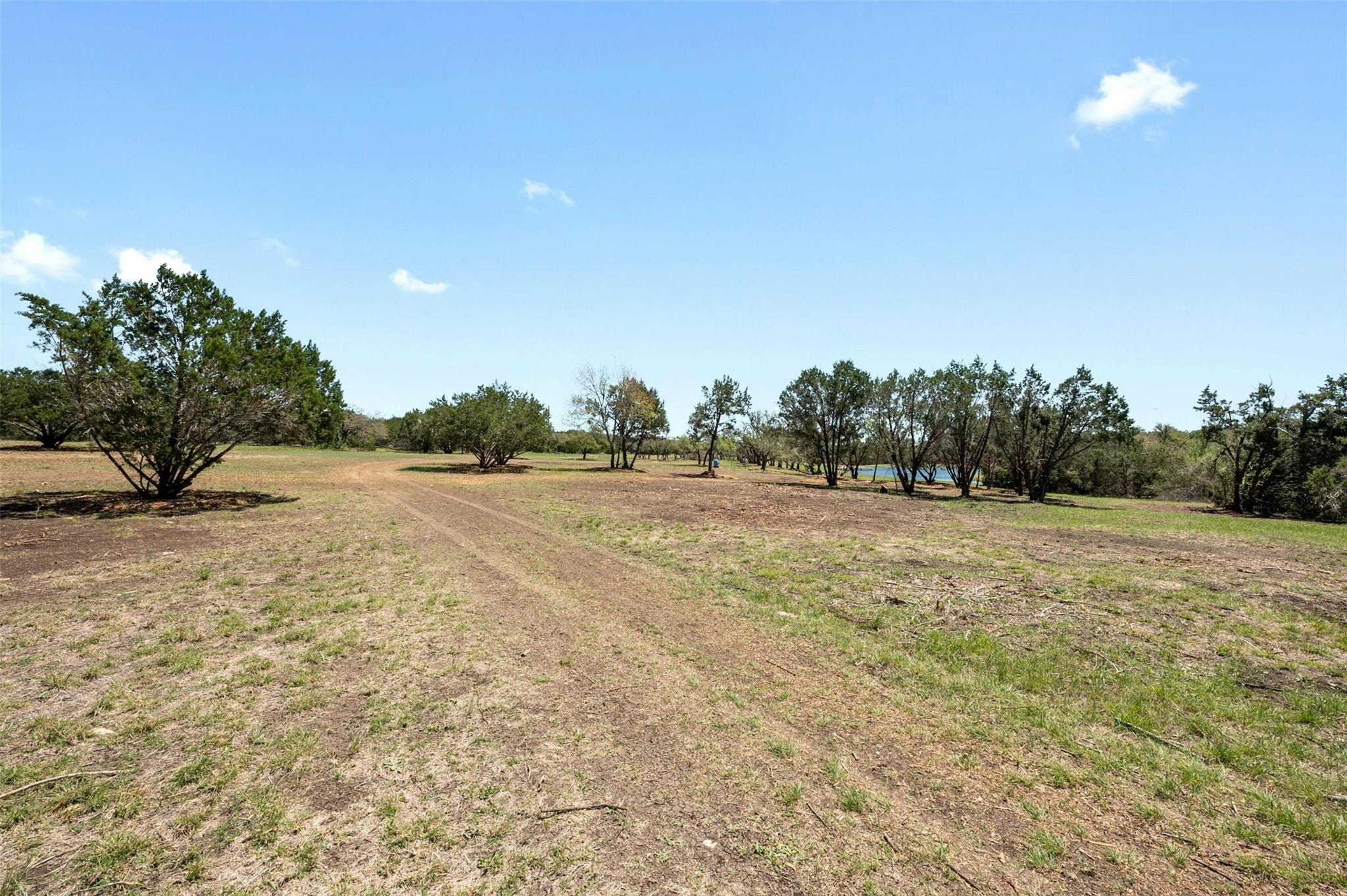 17650-a Hamilton Pool Rd Property Photo 4