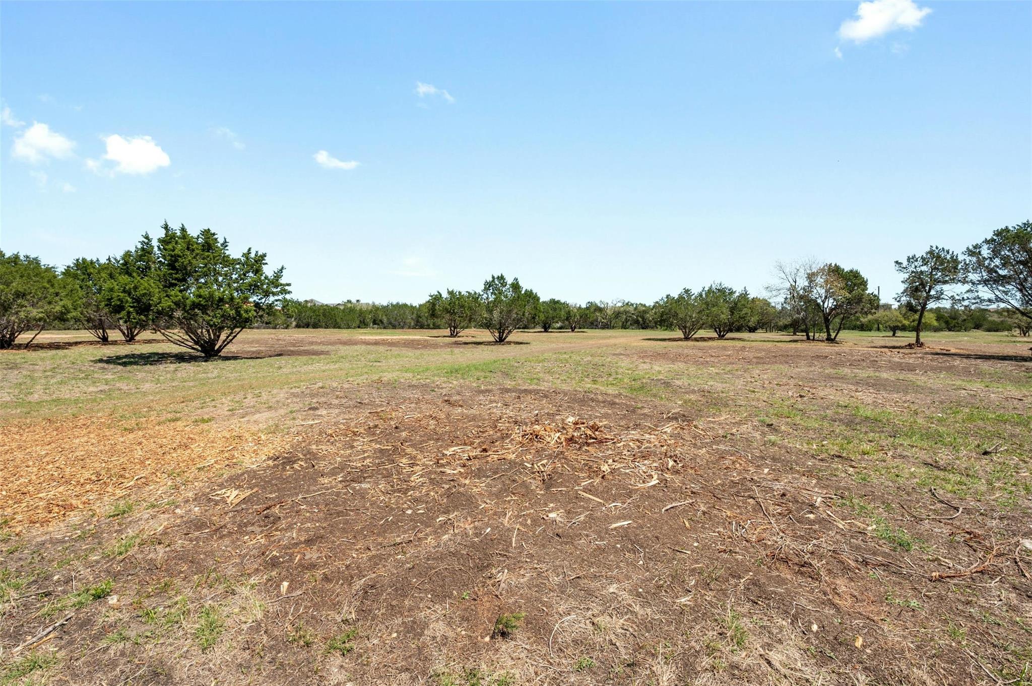 17650-a Hamilton Pool Rd Property Photo 8