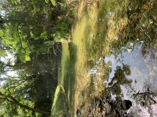 Lot 12 Arrowhead Trail None Property Photo 35