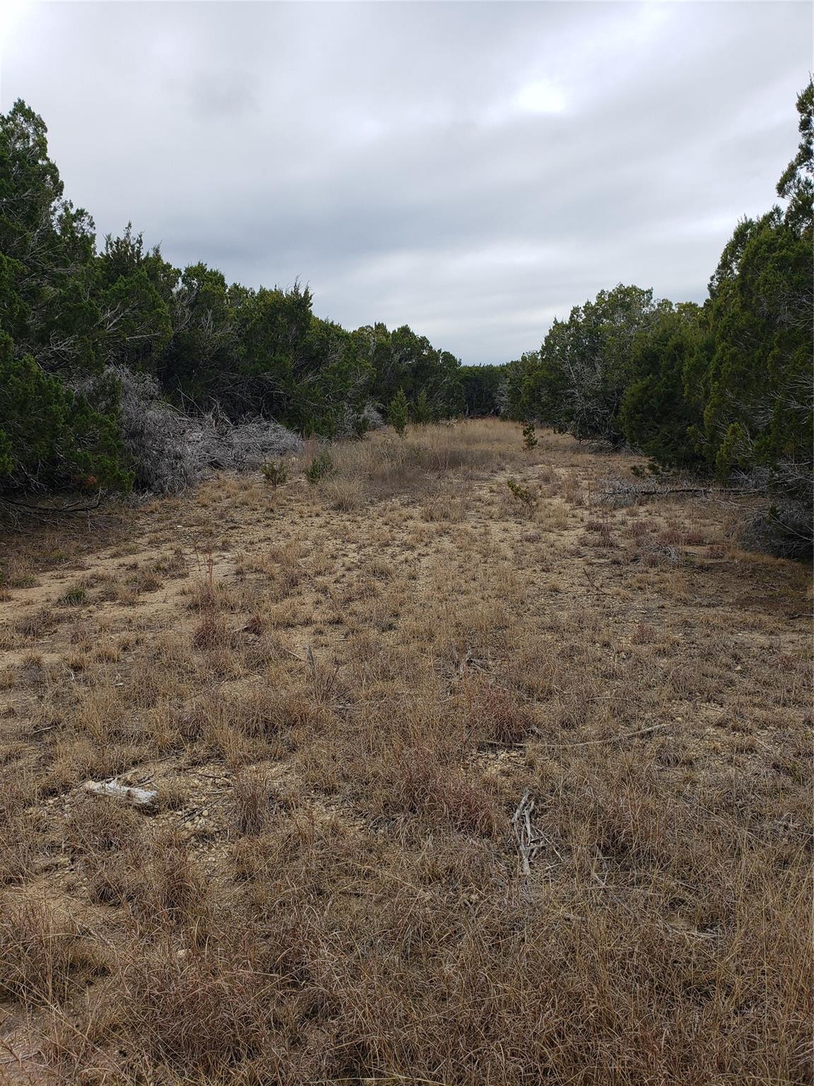 Lot 65 Estate View Circle Property Photo 4