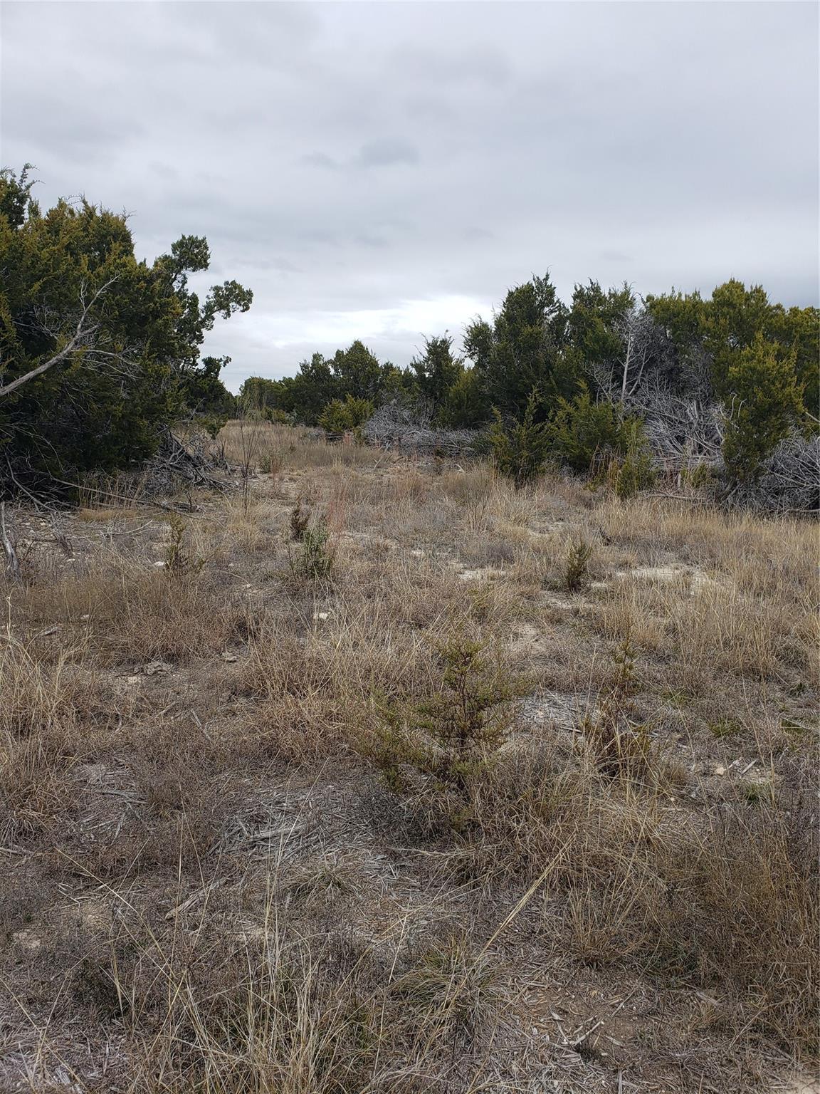Lot 65 Estate View Circle Property Photo 12
