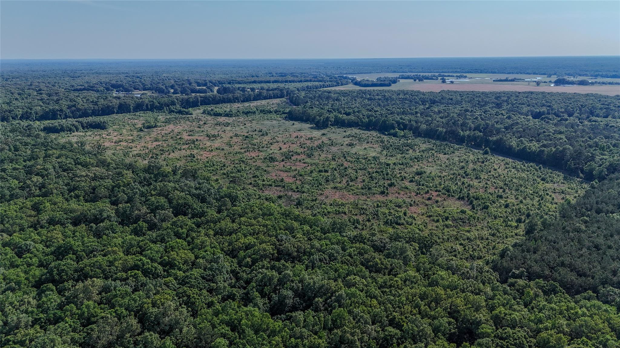 Cr 4621 County Road 4621 None Property Photo 1