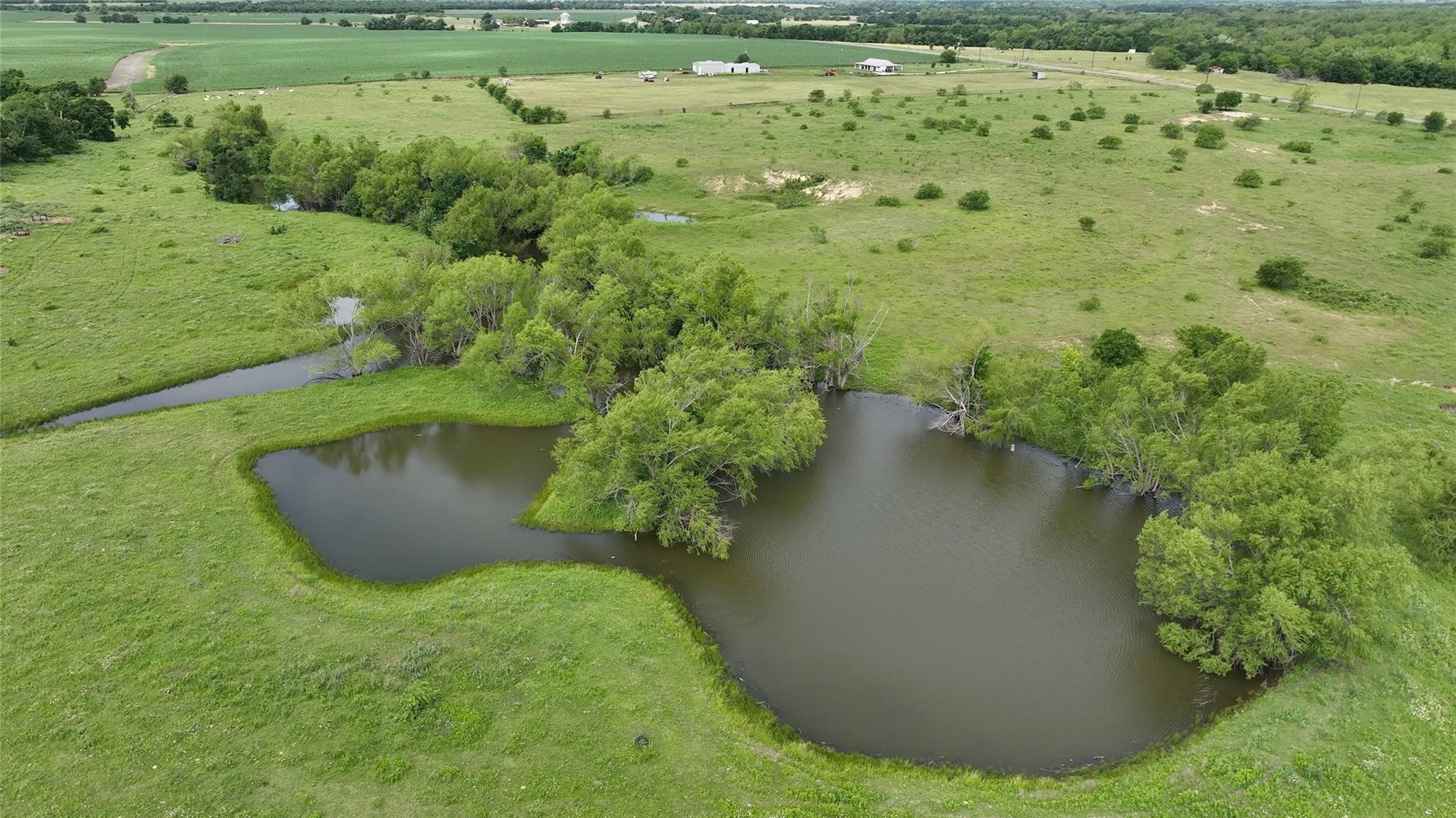 253 Fm 1331 Property Photo 4