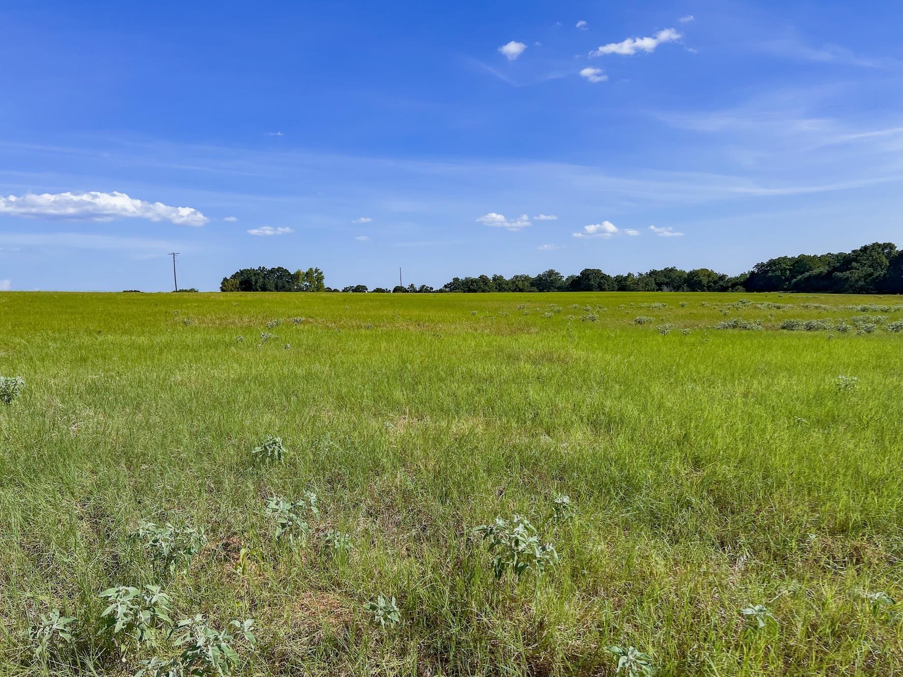 0001 Old Mcmahan Rd Property Photo 6