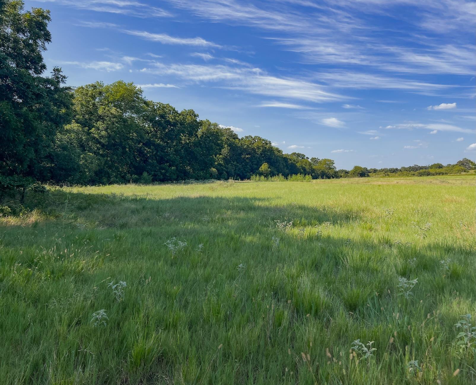 0001 Old Mcmahan Rd Property Photo 8