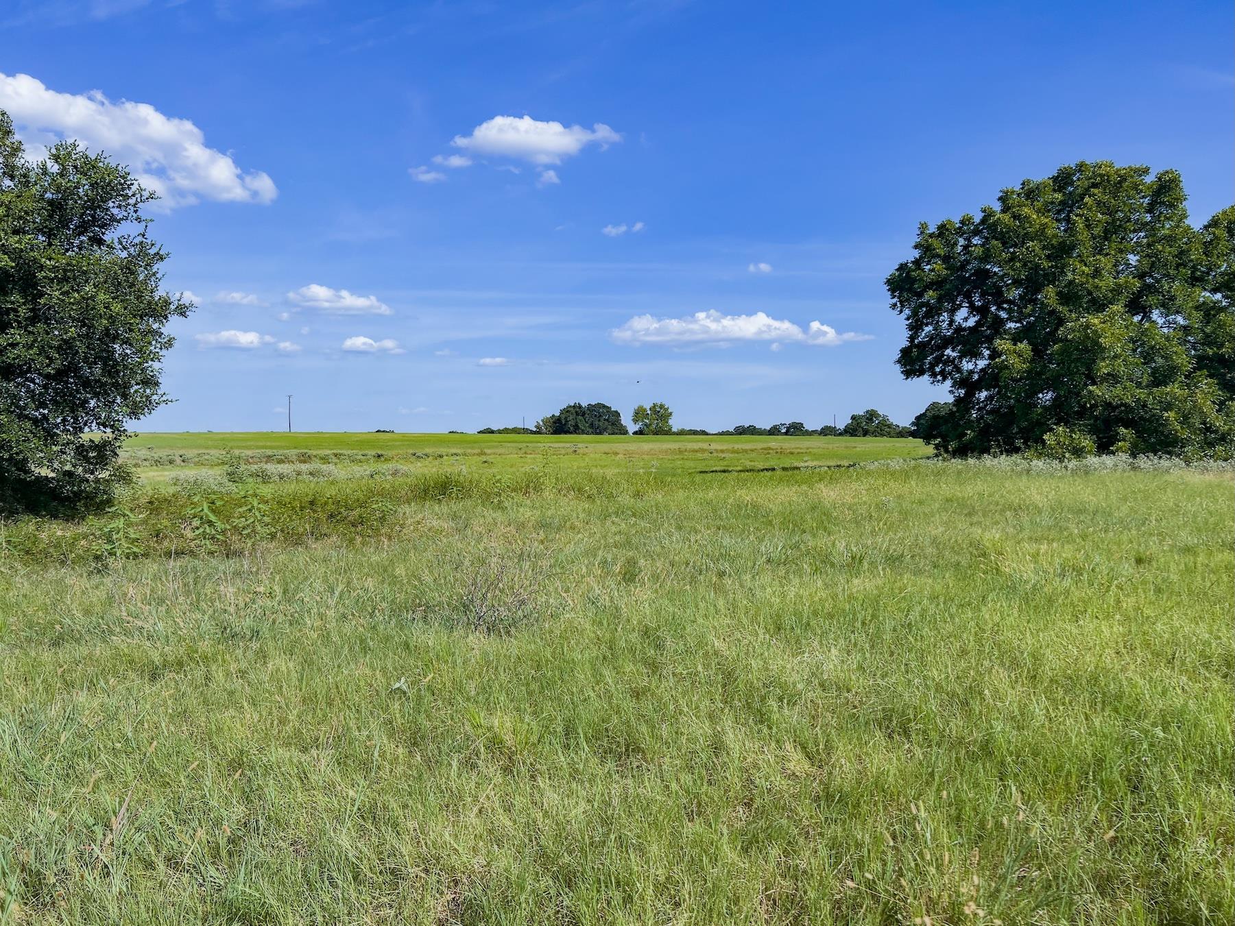 0001 Old Mcmahan Rd Property Photo 9