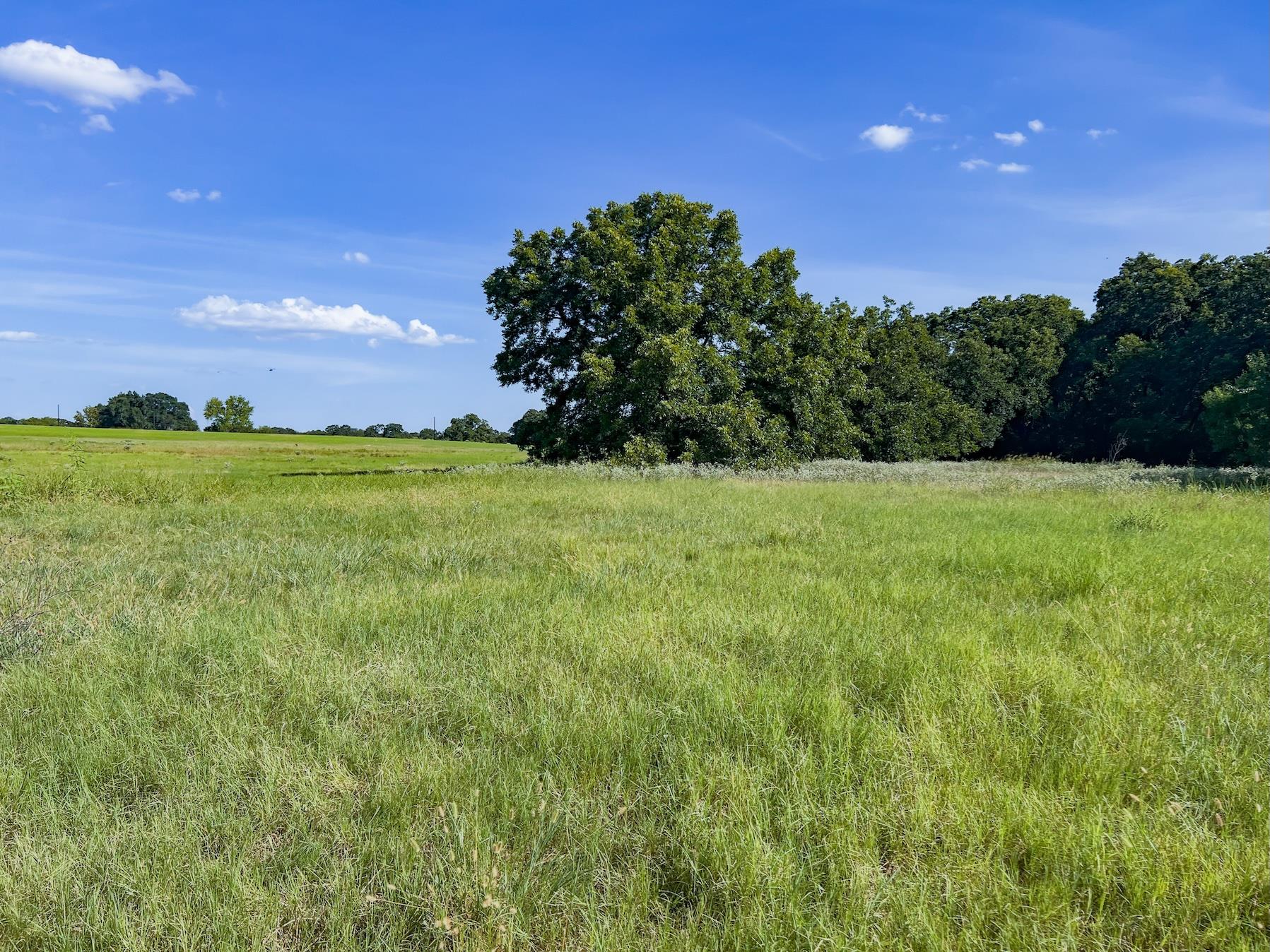 0001 Old Mcmahan Rd Property Photo 10