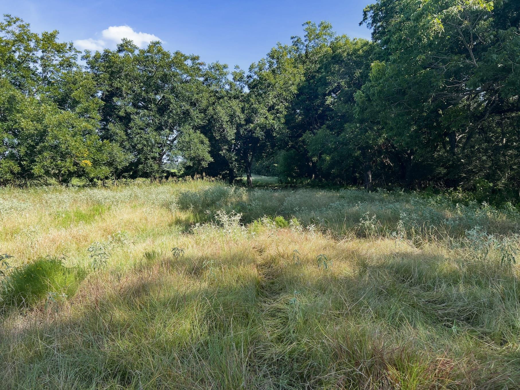 0001 Old Mcmahan Rd Property Photo 11