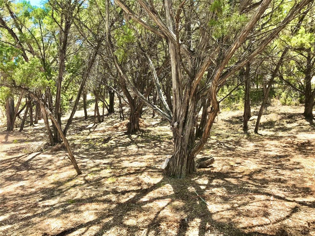 21115 Northland Dr Property Photo 8
