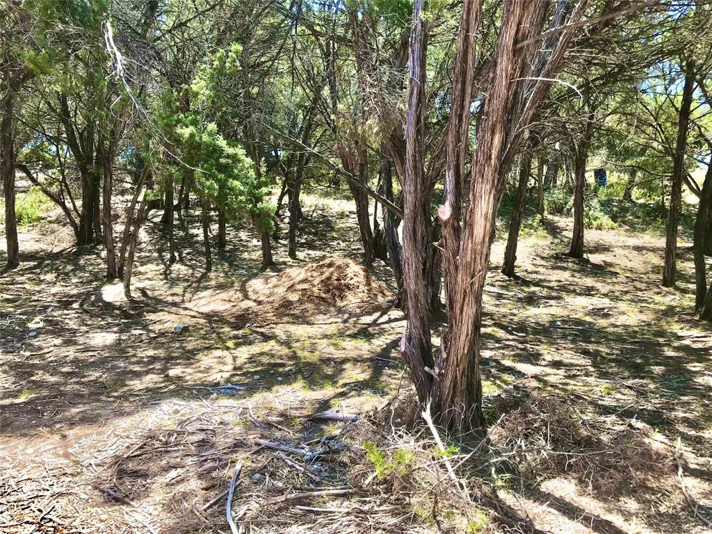 21115 Northland Dr Property Photo 14
