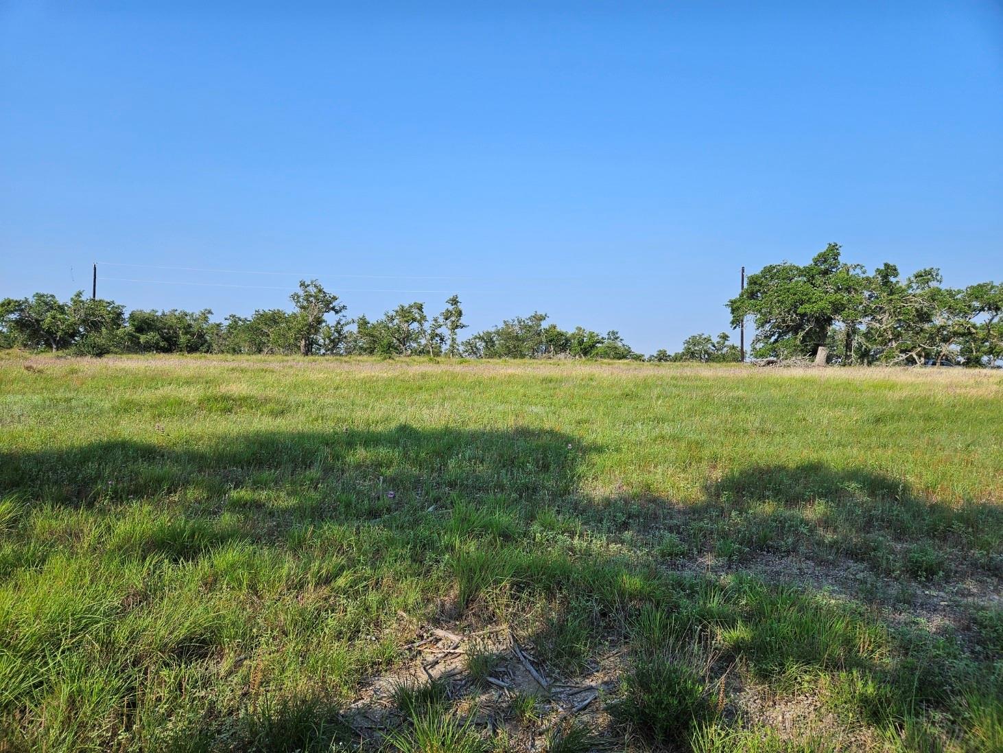 675 Whiskey Trl Property Photo 3