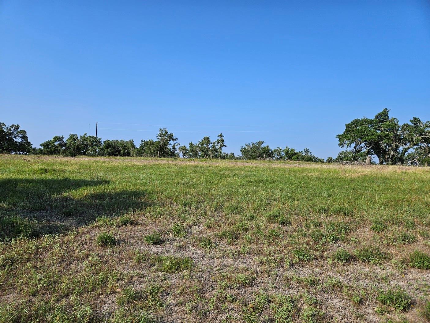675 Whiskey Trl Property Photo 7