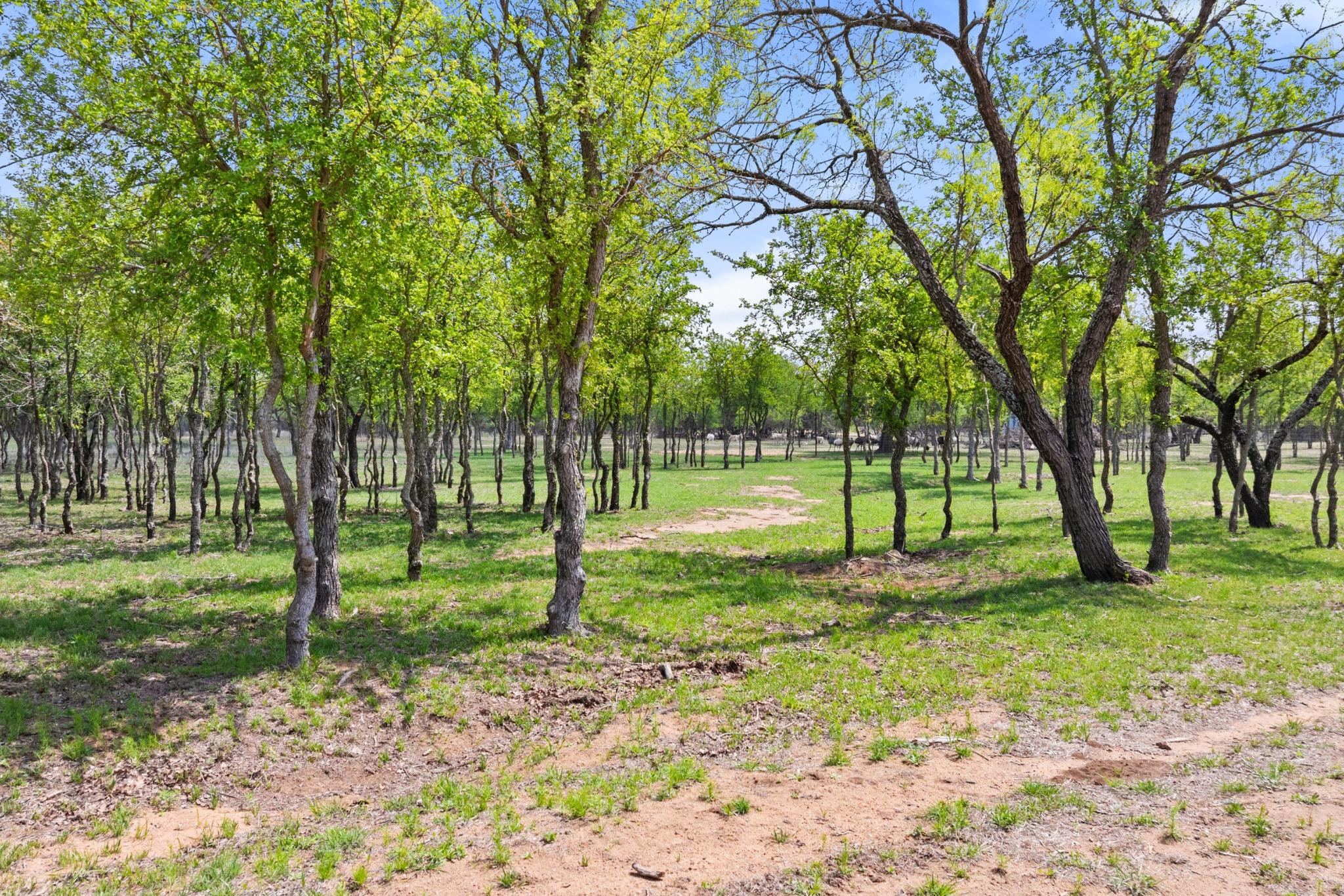 10900 Ranch Road 1323 None Property Photo 35