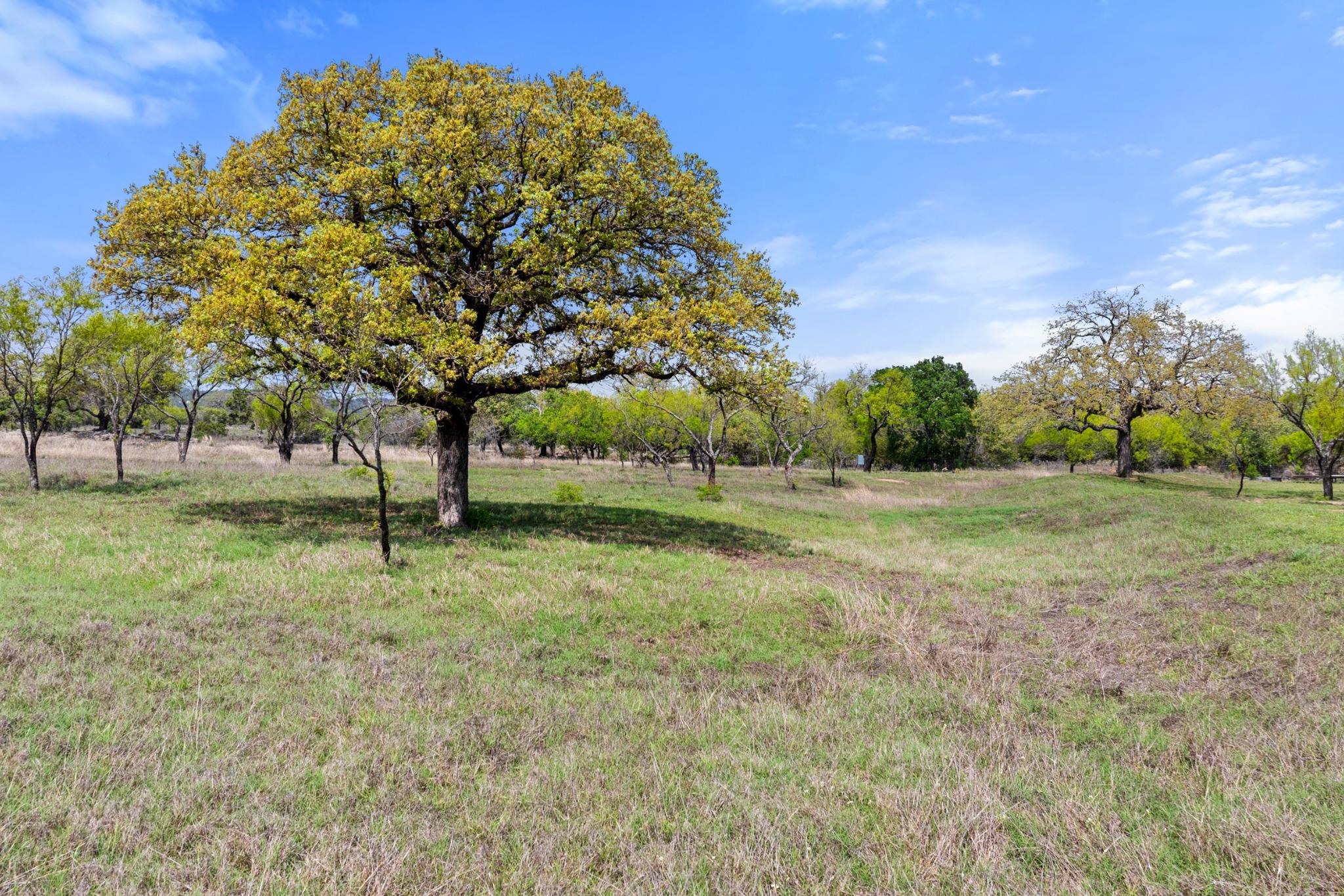10900 Ranch Road 1323 None Property Photo 38