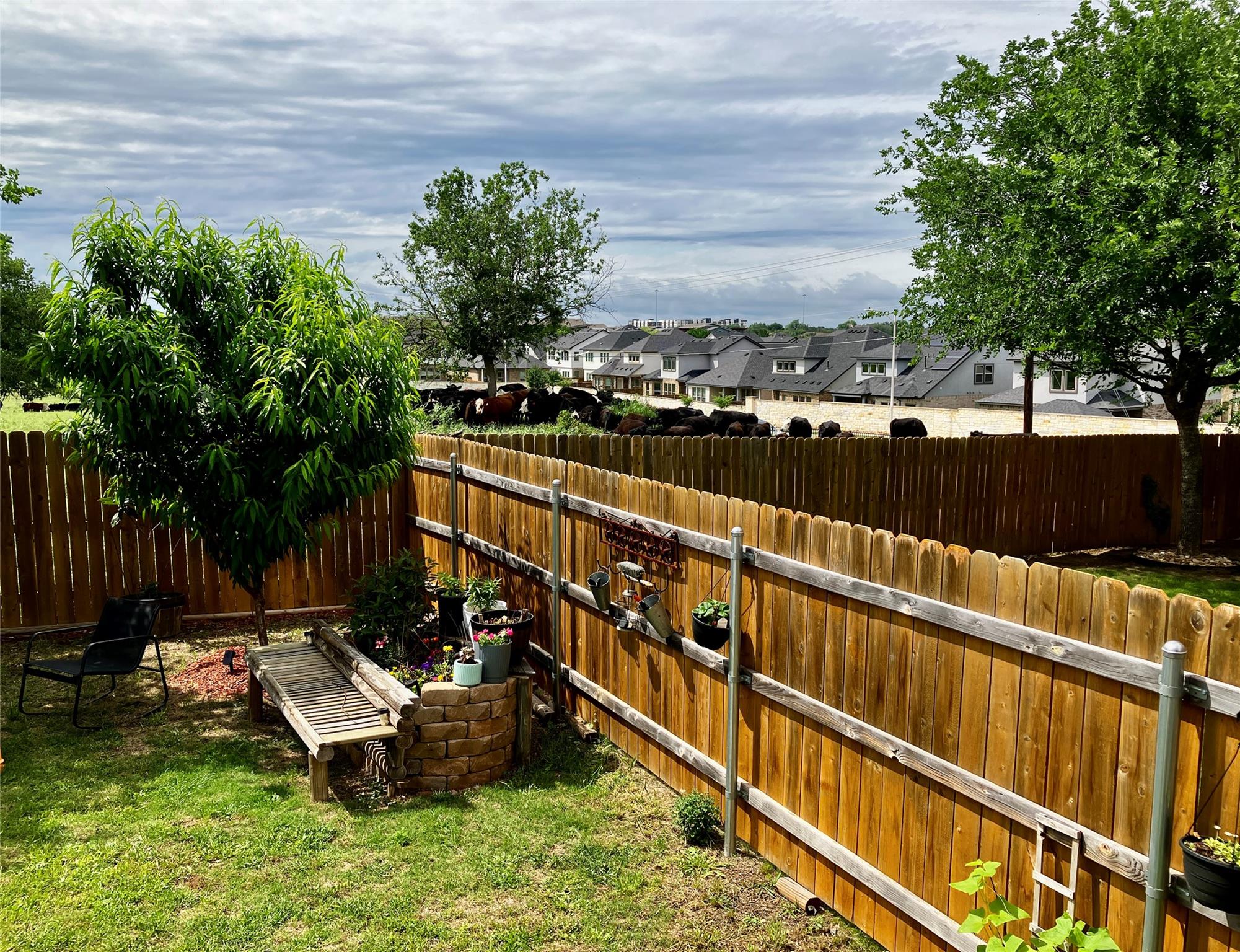 11704 Dillon Falls Dr Property Photo 17