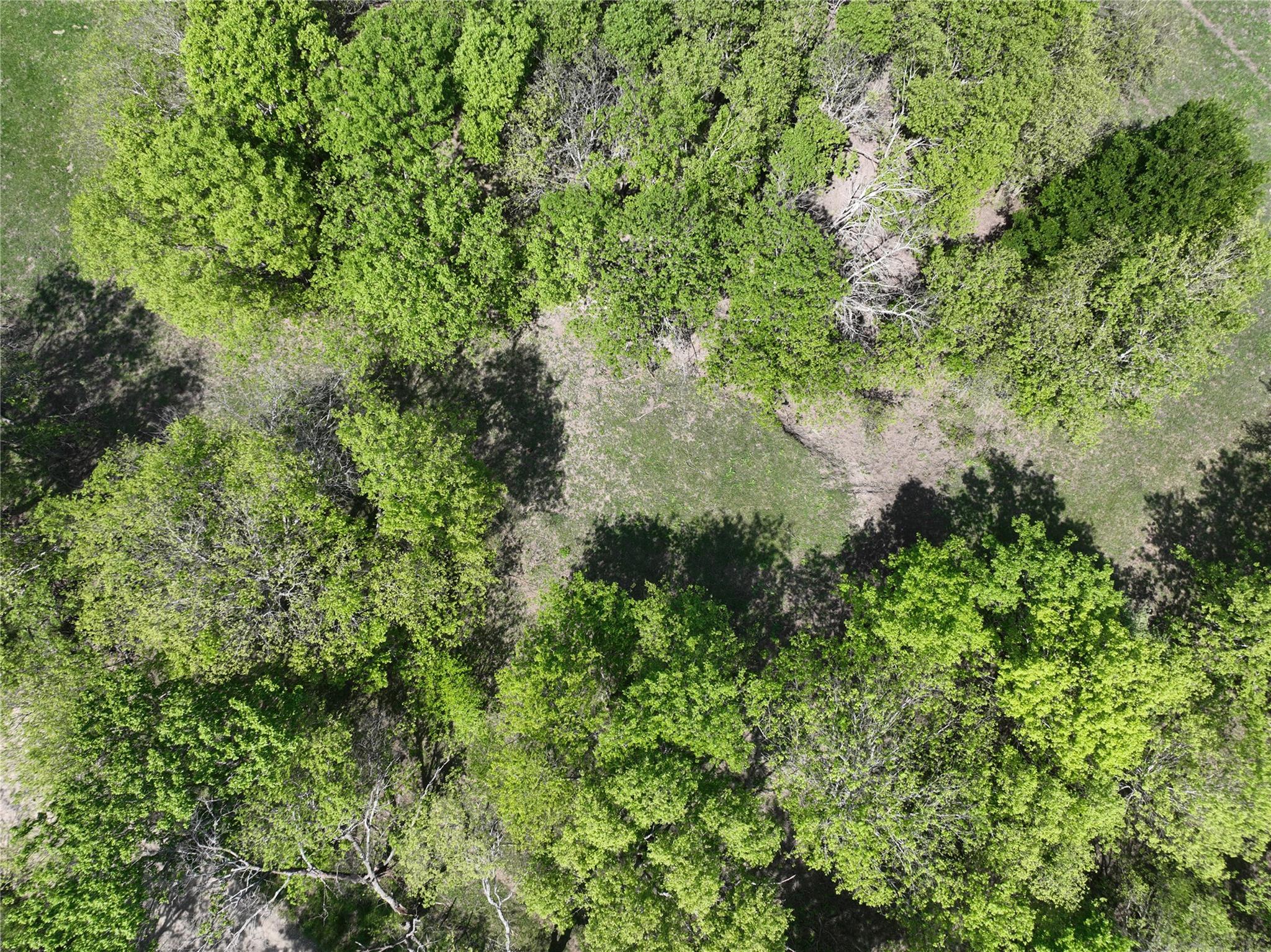 Tbd Lot 2 Cr 452 Rd Property Photo 3