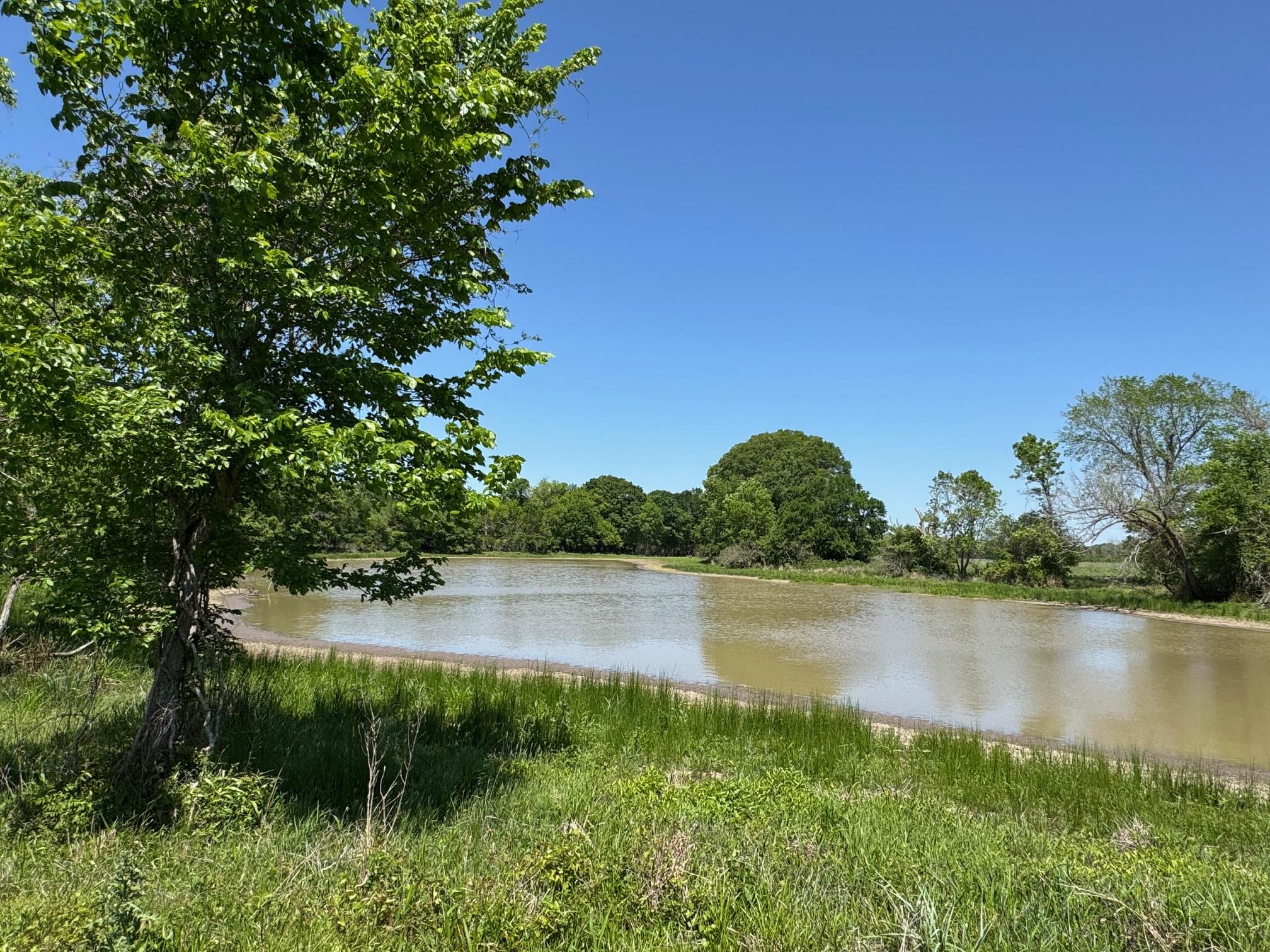 Muldoon Real Estate Listings Main Image