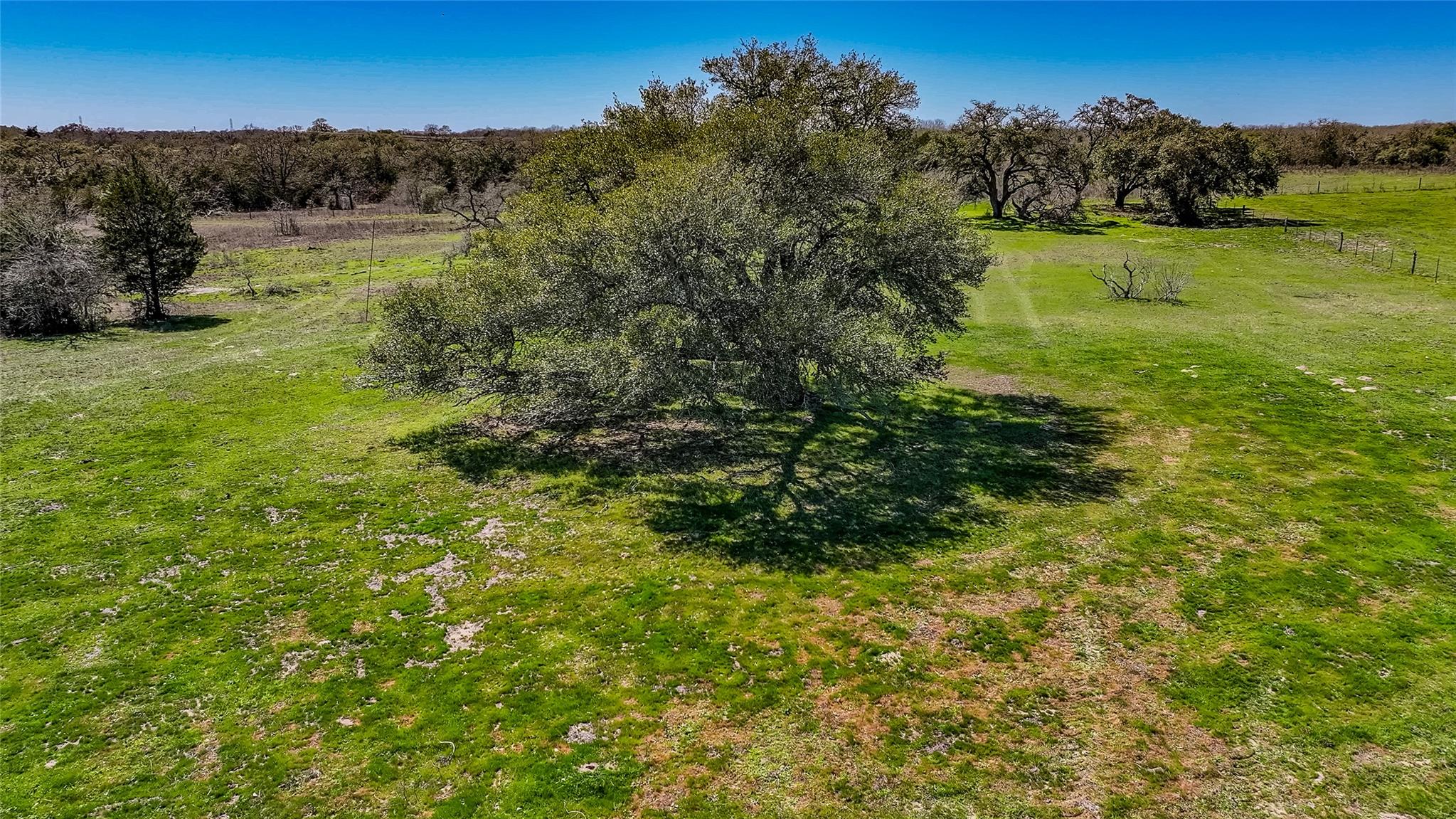 3817 Fm 154 Rd Property Photo 12