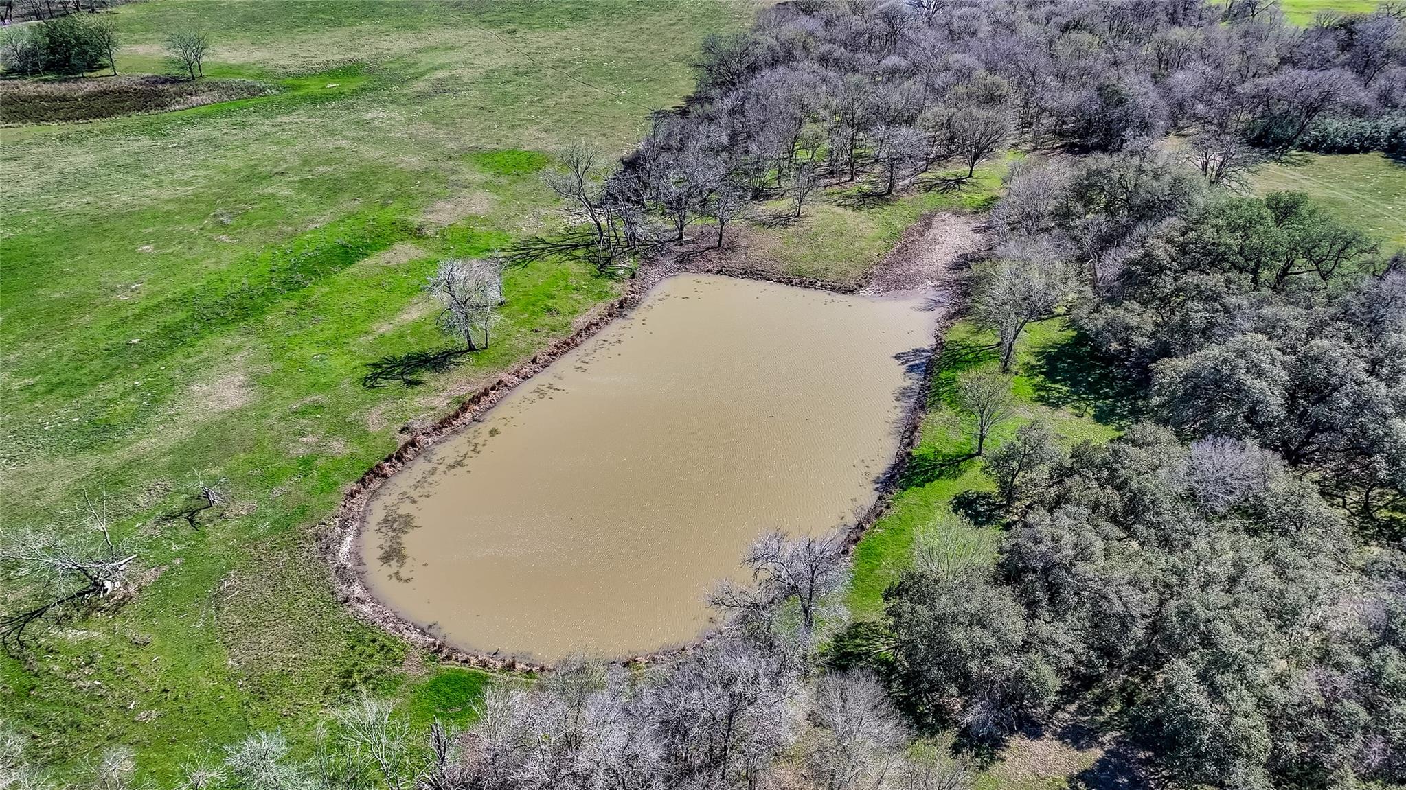 3817 Fm 154 Rd Property Photo 13