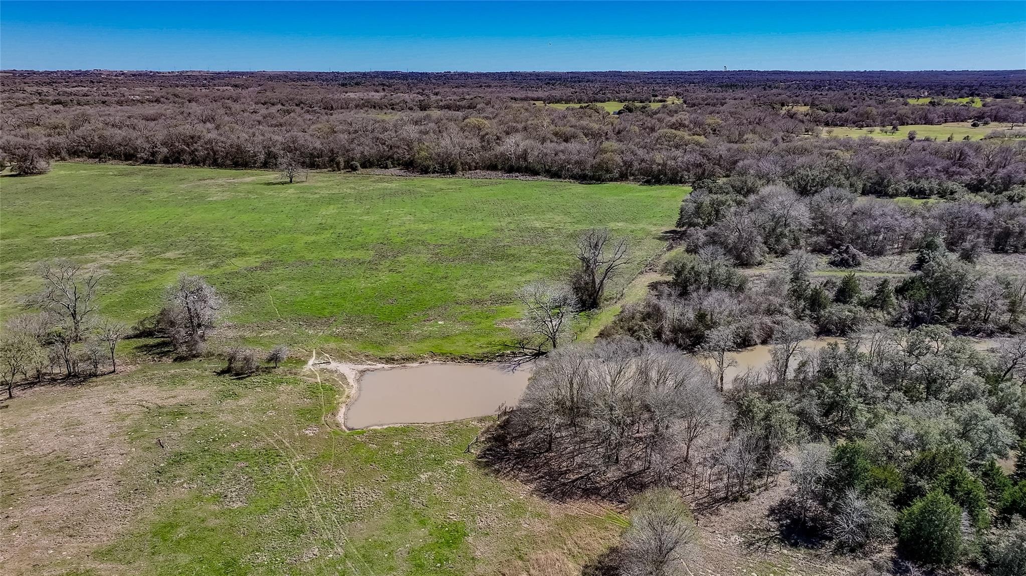 3817 Fm 154 Rd Property Photo 14