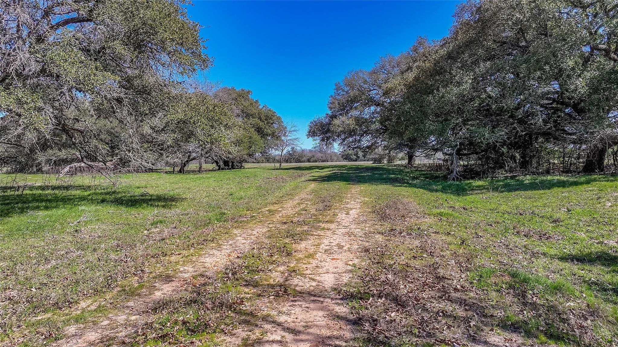 3817 Fm 154 Rd Property Photo 15