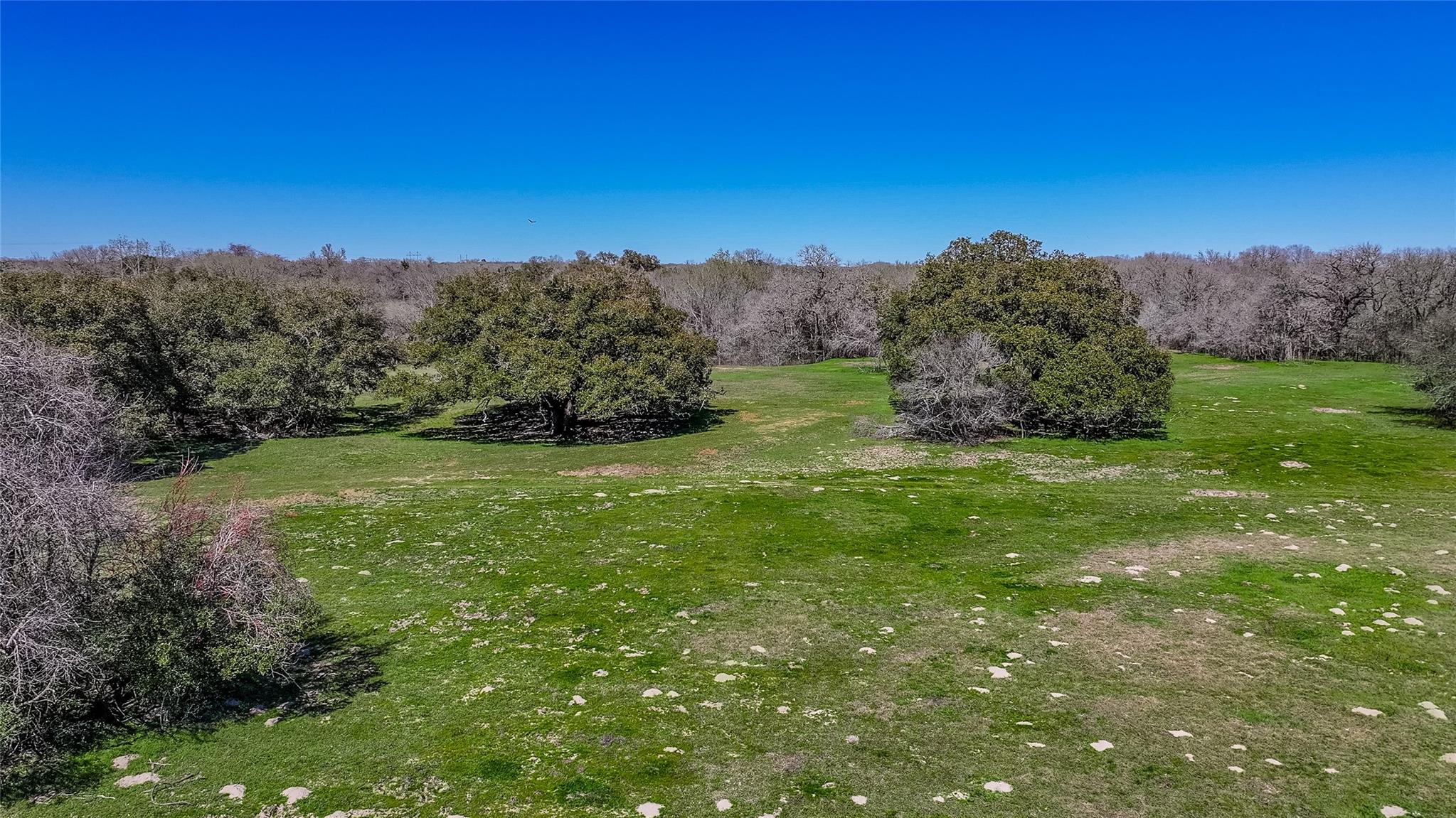 3817 Fm 154 Rd Property Photo 16
