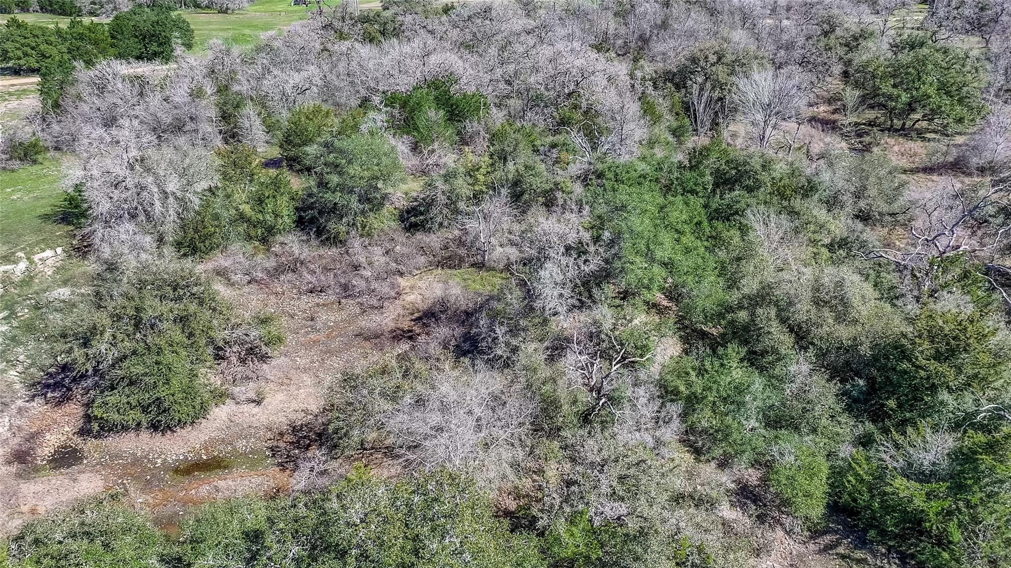 3817 Fm 154 Rd Property Photo 19