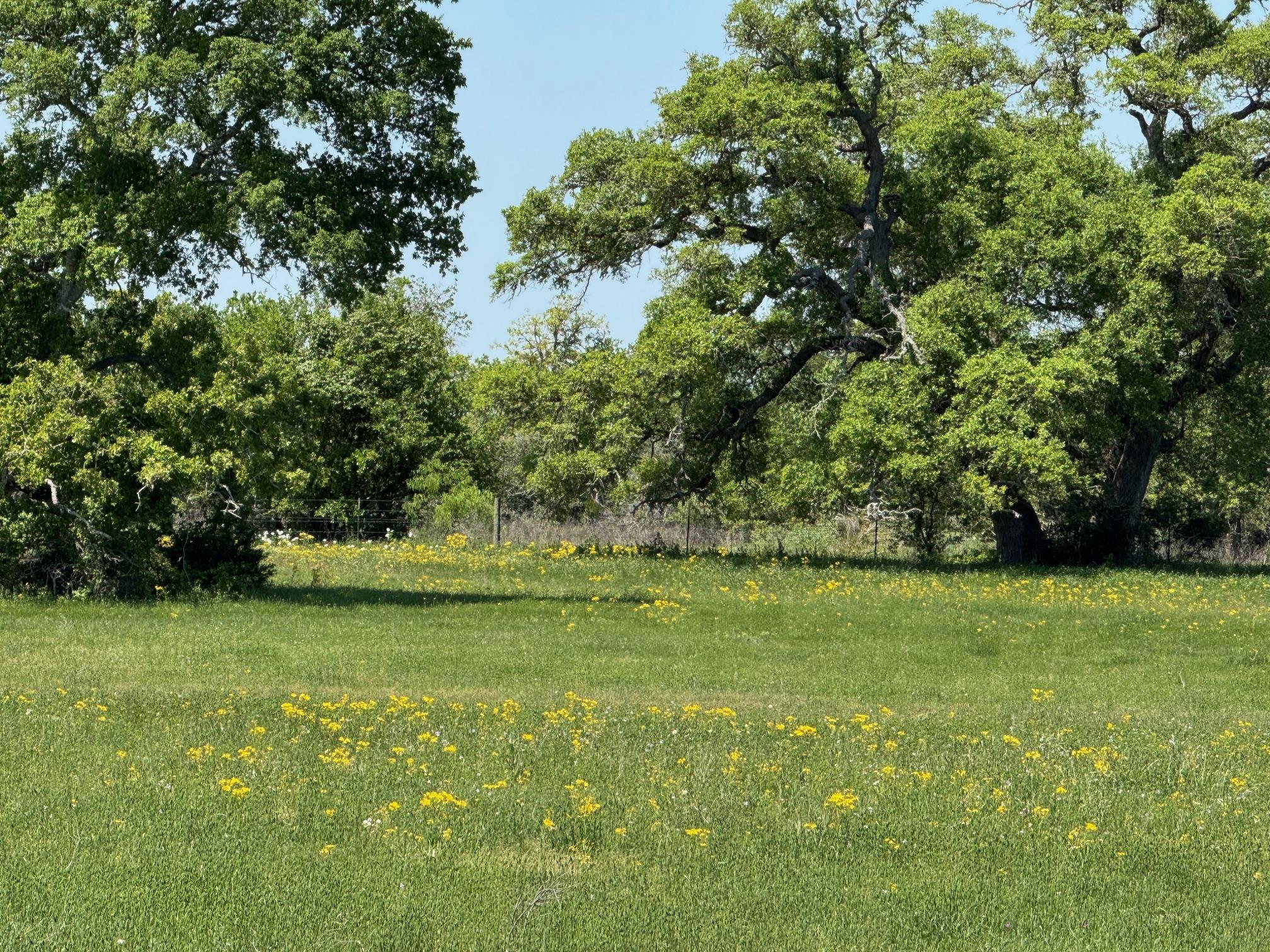 3817 Fm 154 Rd Property Photo 25