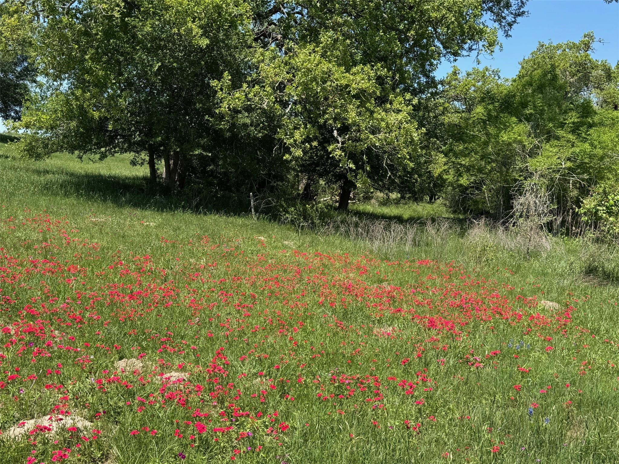 3817 Fm 154 Rd Property Photo 26