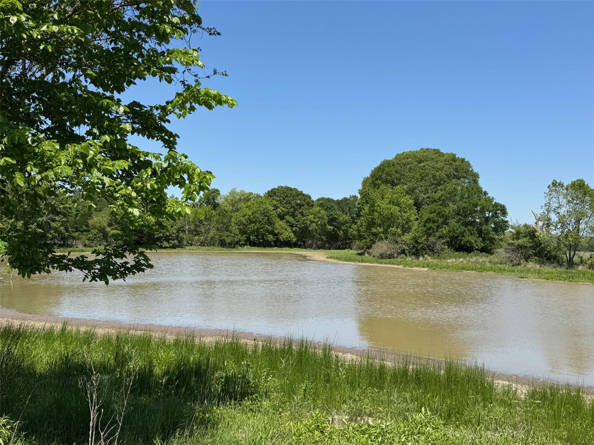 3817 Fm 154 Rd Property Photo 27