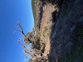 11403 Lakeside Dr Property Photo 21