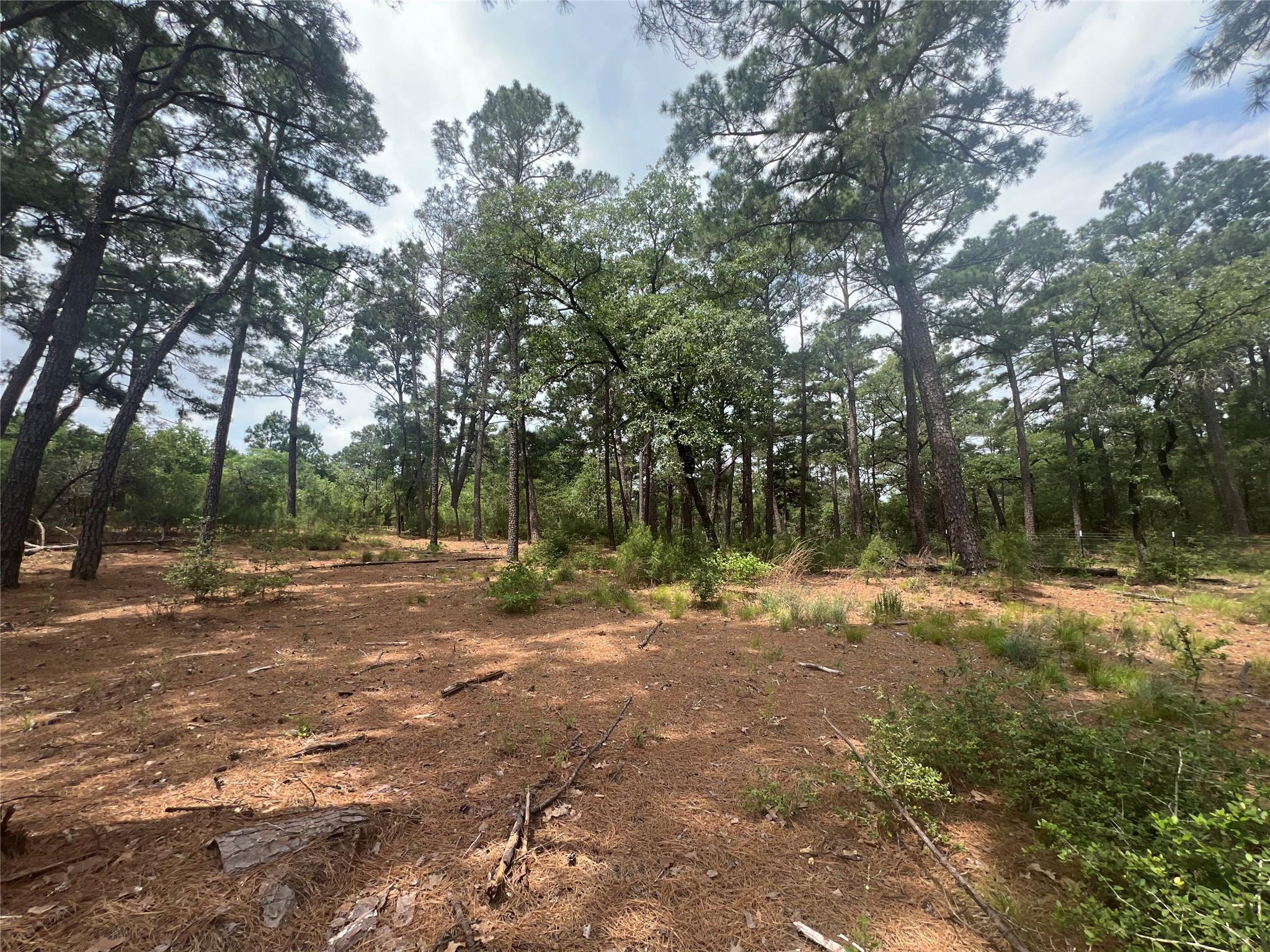Lot 91 N. Hill Ridge Rd Property Photo 1