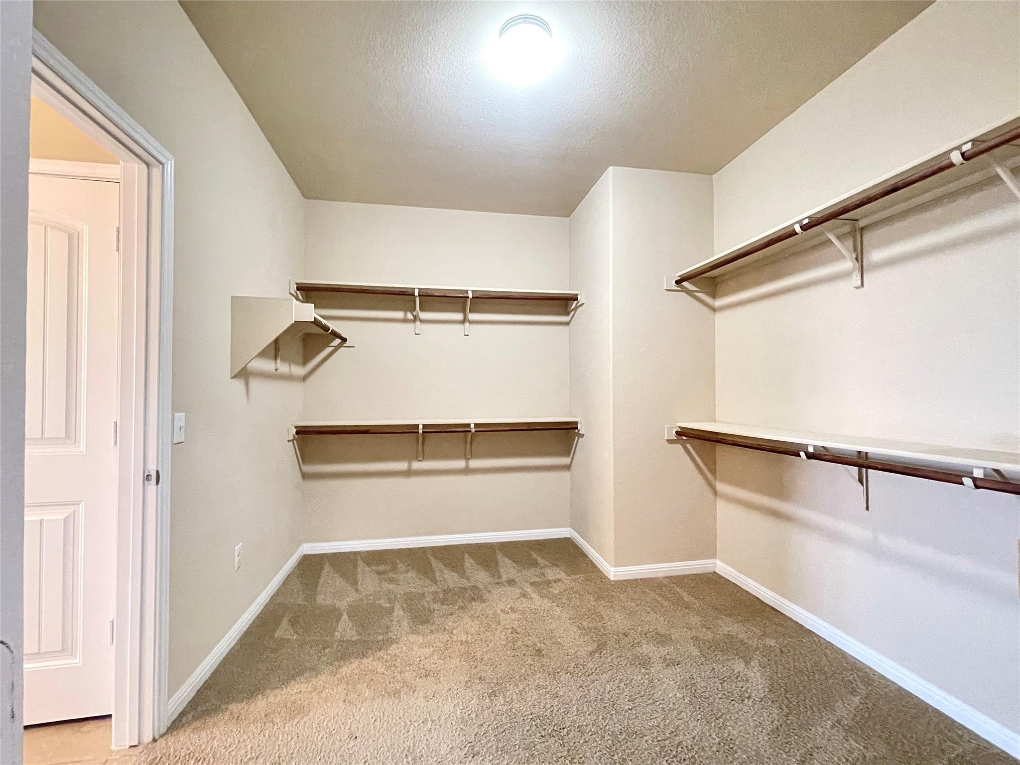 16412 Vescovo Ln Property Photo 19