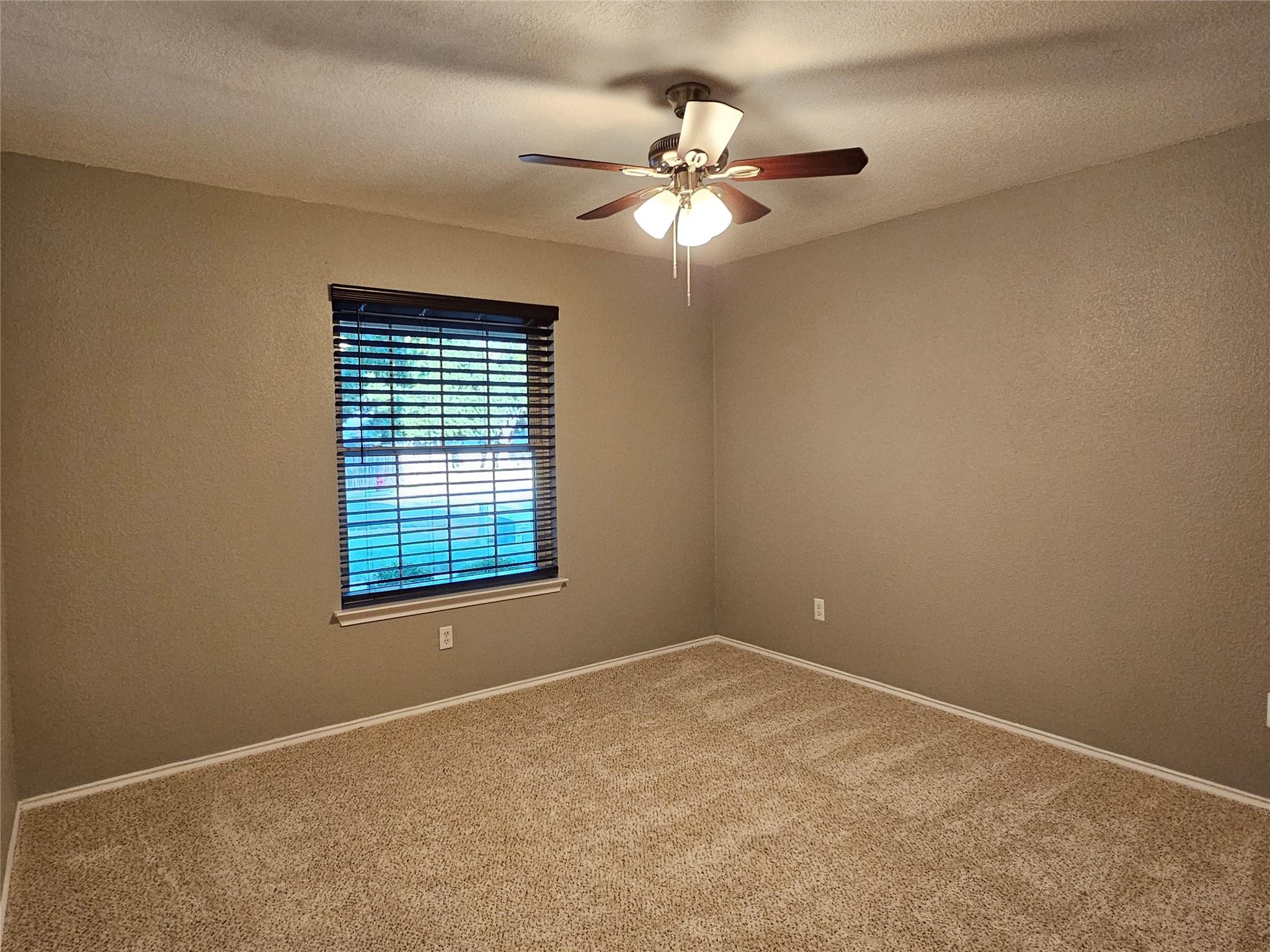 3932 Haleys Way Property Photo 21