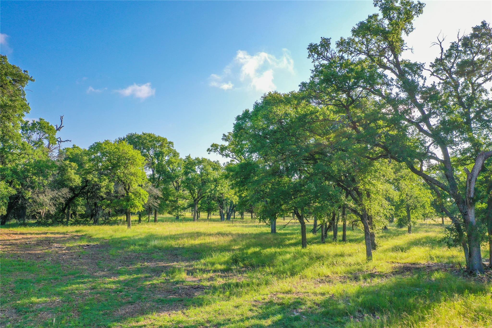 Tbd Us-190 Property Photo 9