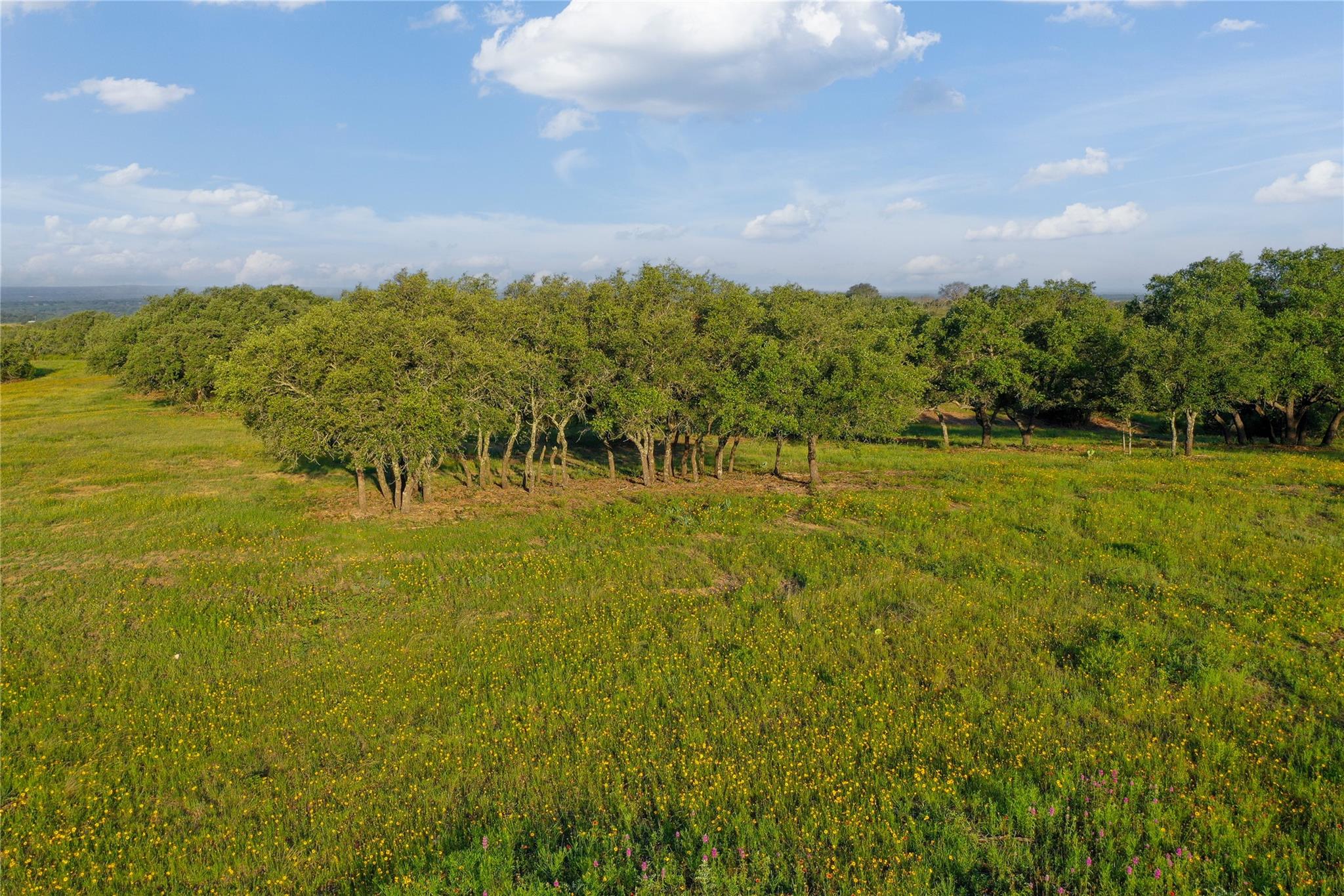 Tbd Us-190 Property Photo 16