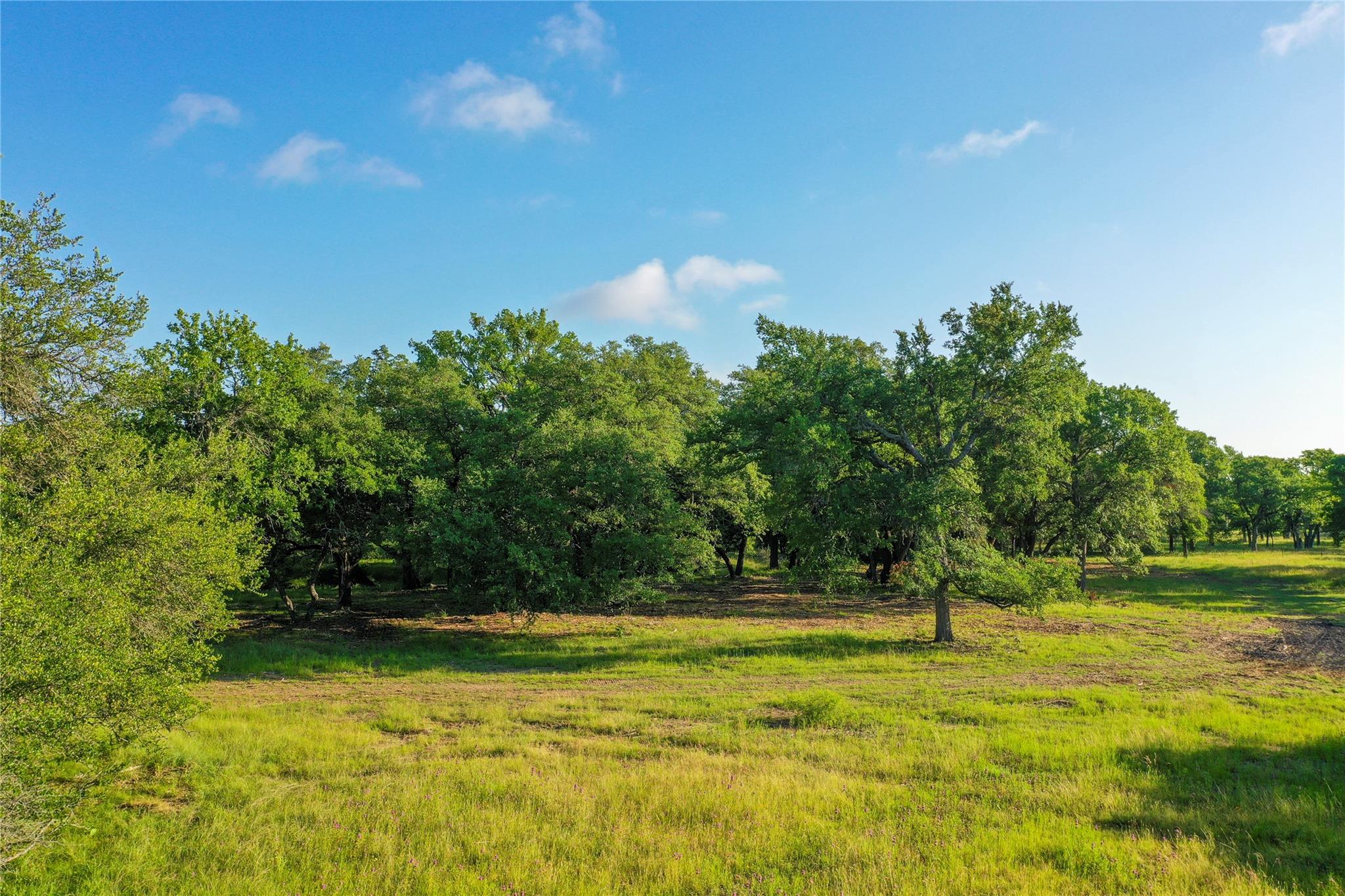 Tbd Us-190 Property Photo 27