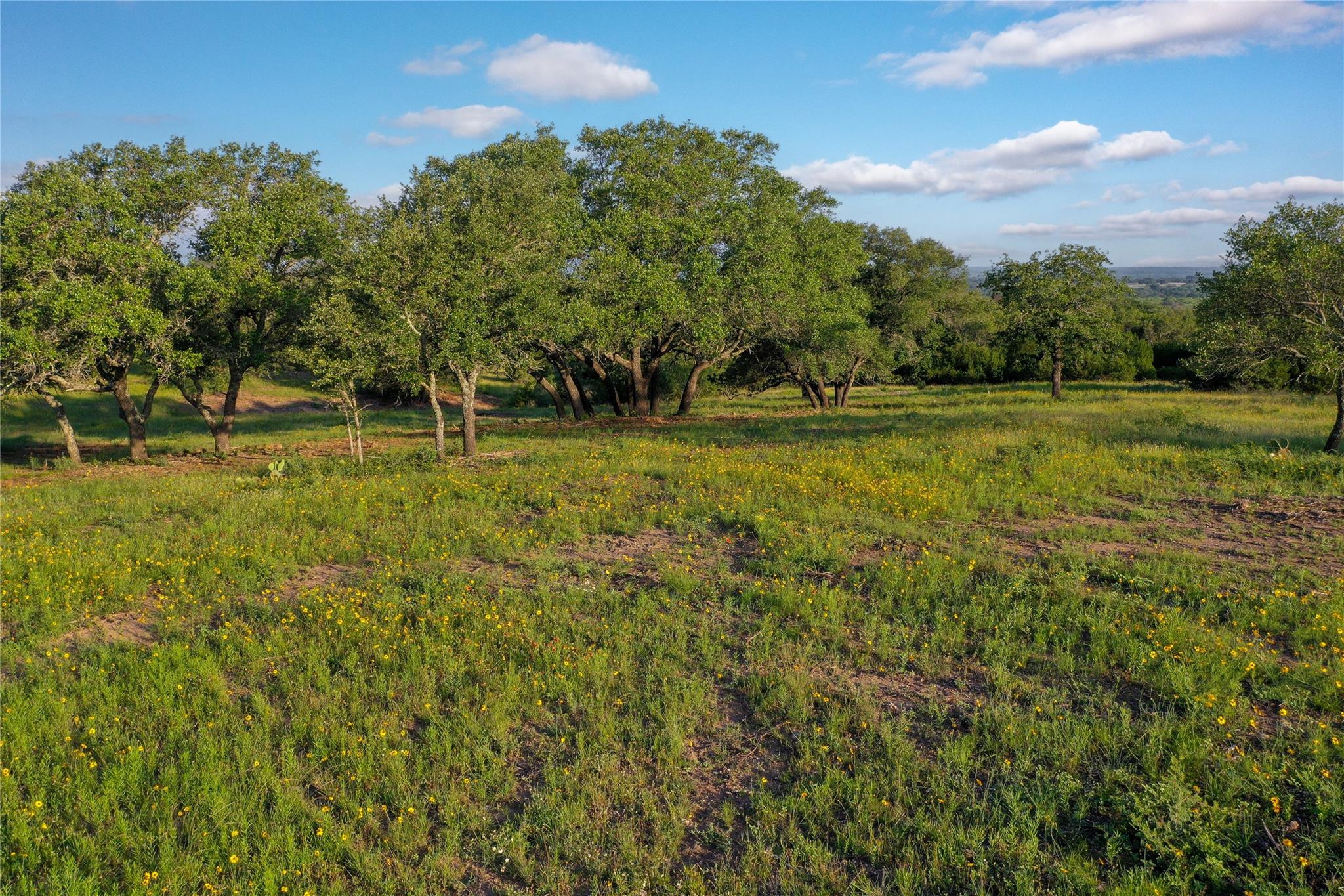 Tbd Us-190 Property Photo 28