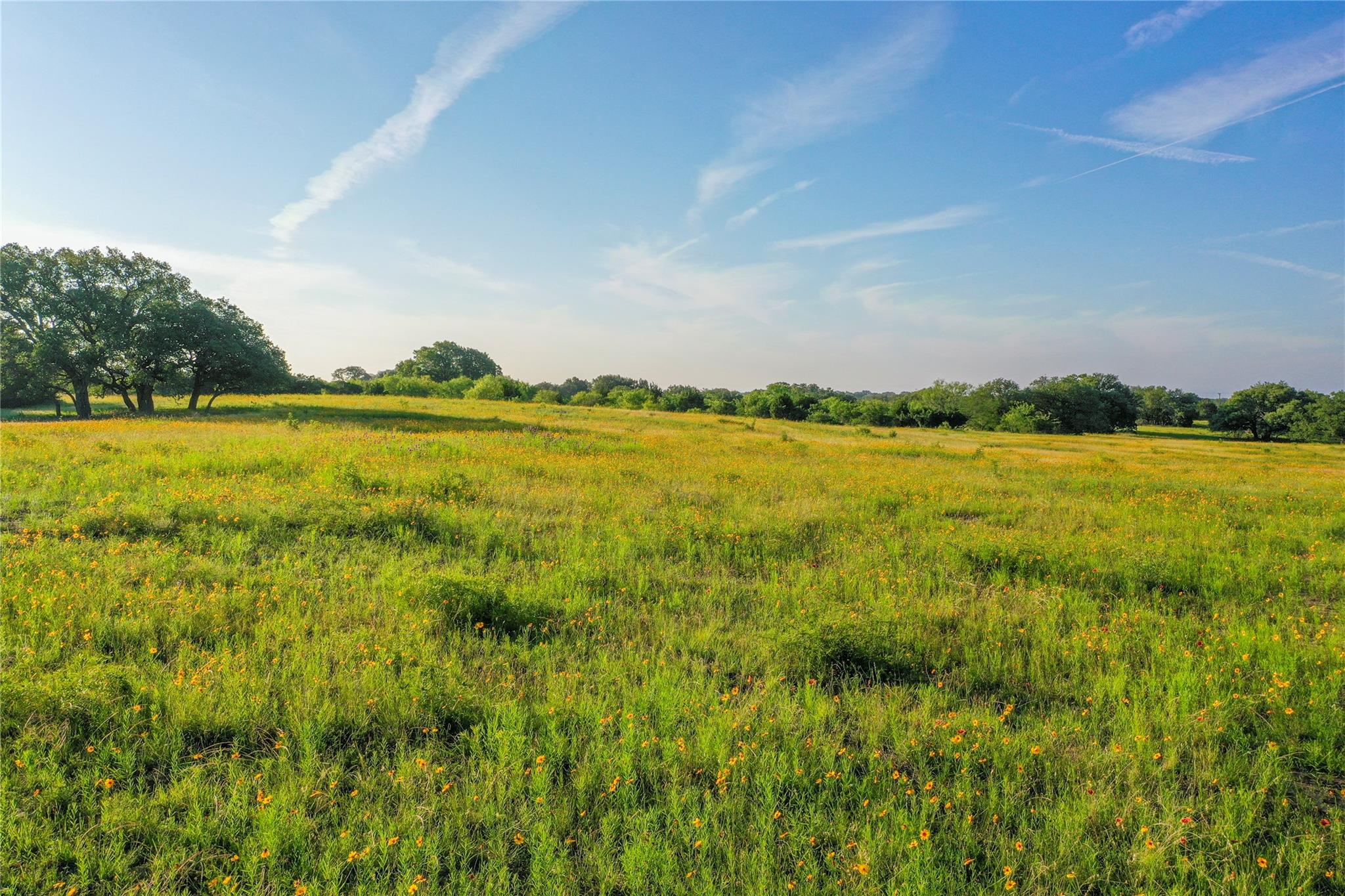 Tbd Us-190 Property Photo 32