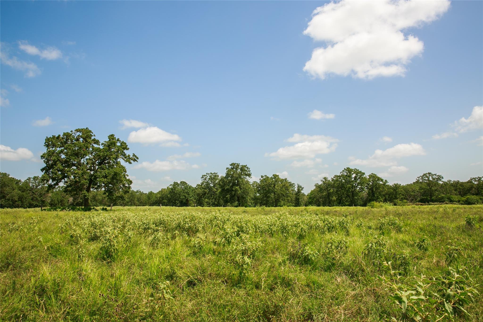 13150 Schoenemann Rd Property Photo 3