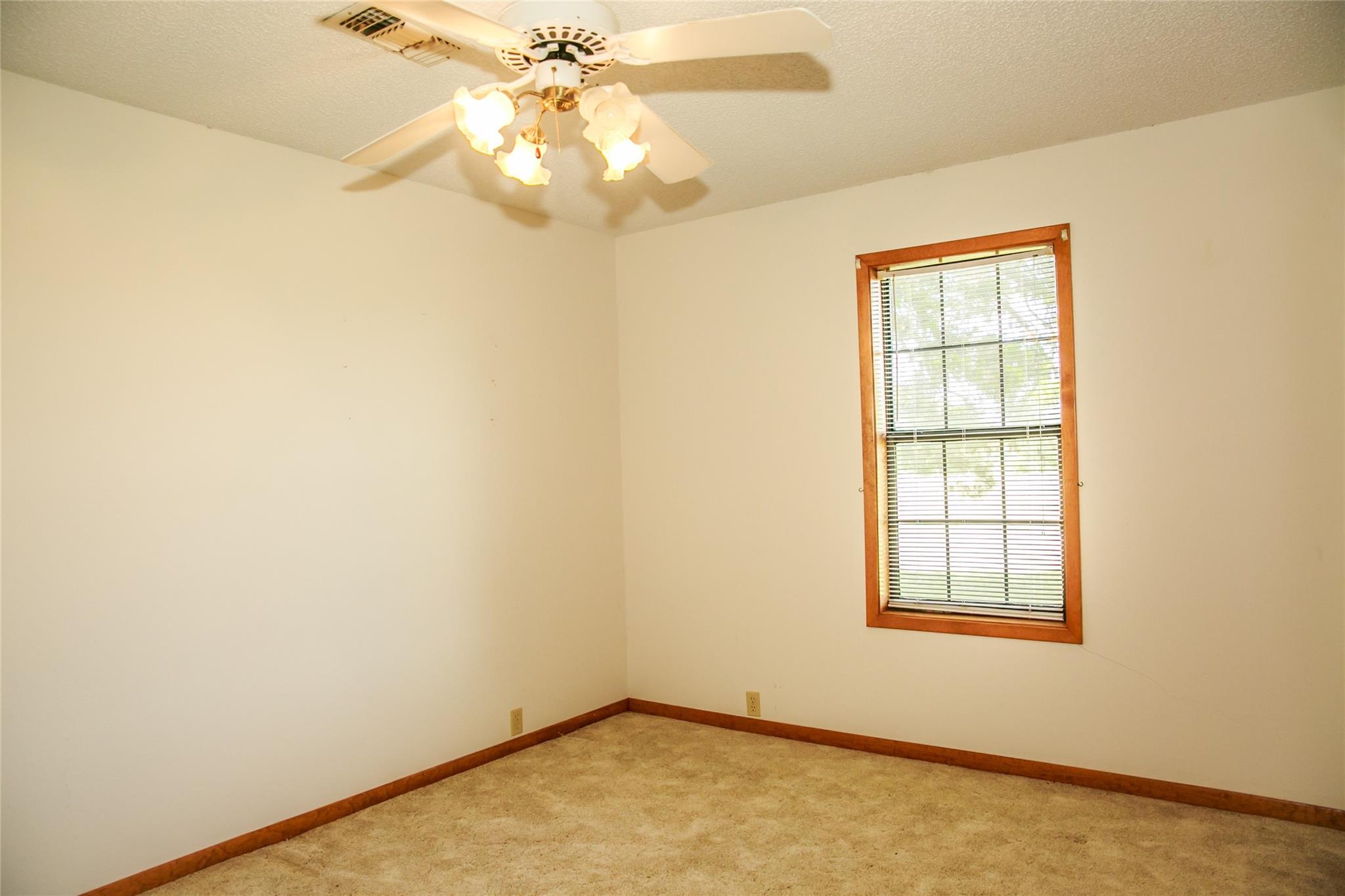 13150 Schoenemann Rd Property Photo 12