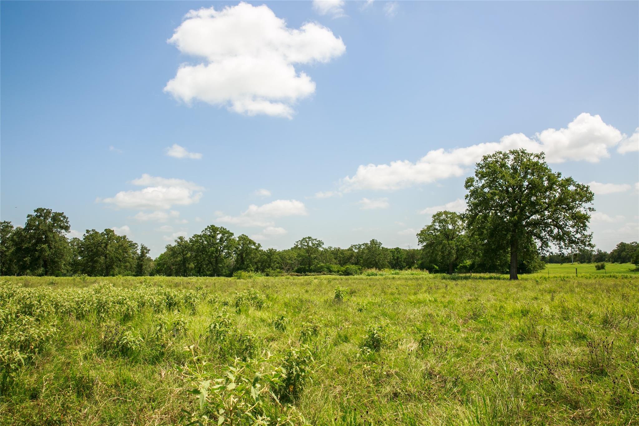 13150 Schoenemann Rd Property Photo 24