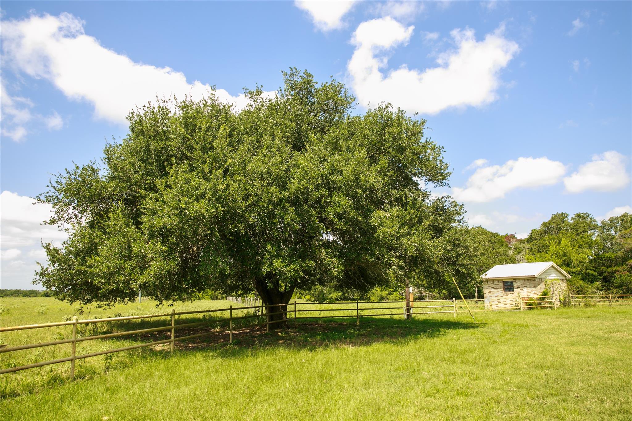 13150 Schoenemann Rd Property Photo 25