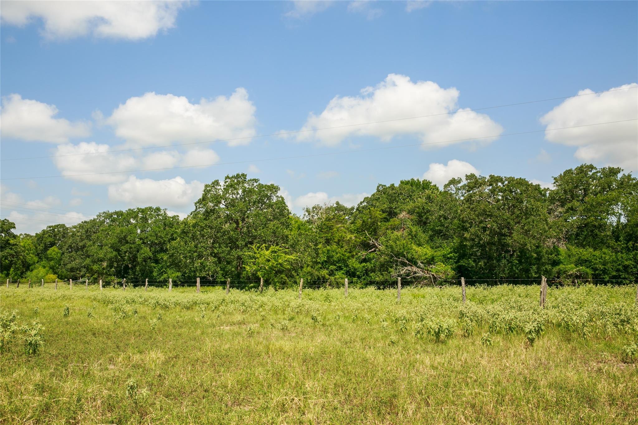 13150 Schoenemann Rd Property Photo 26