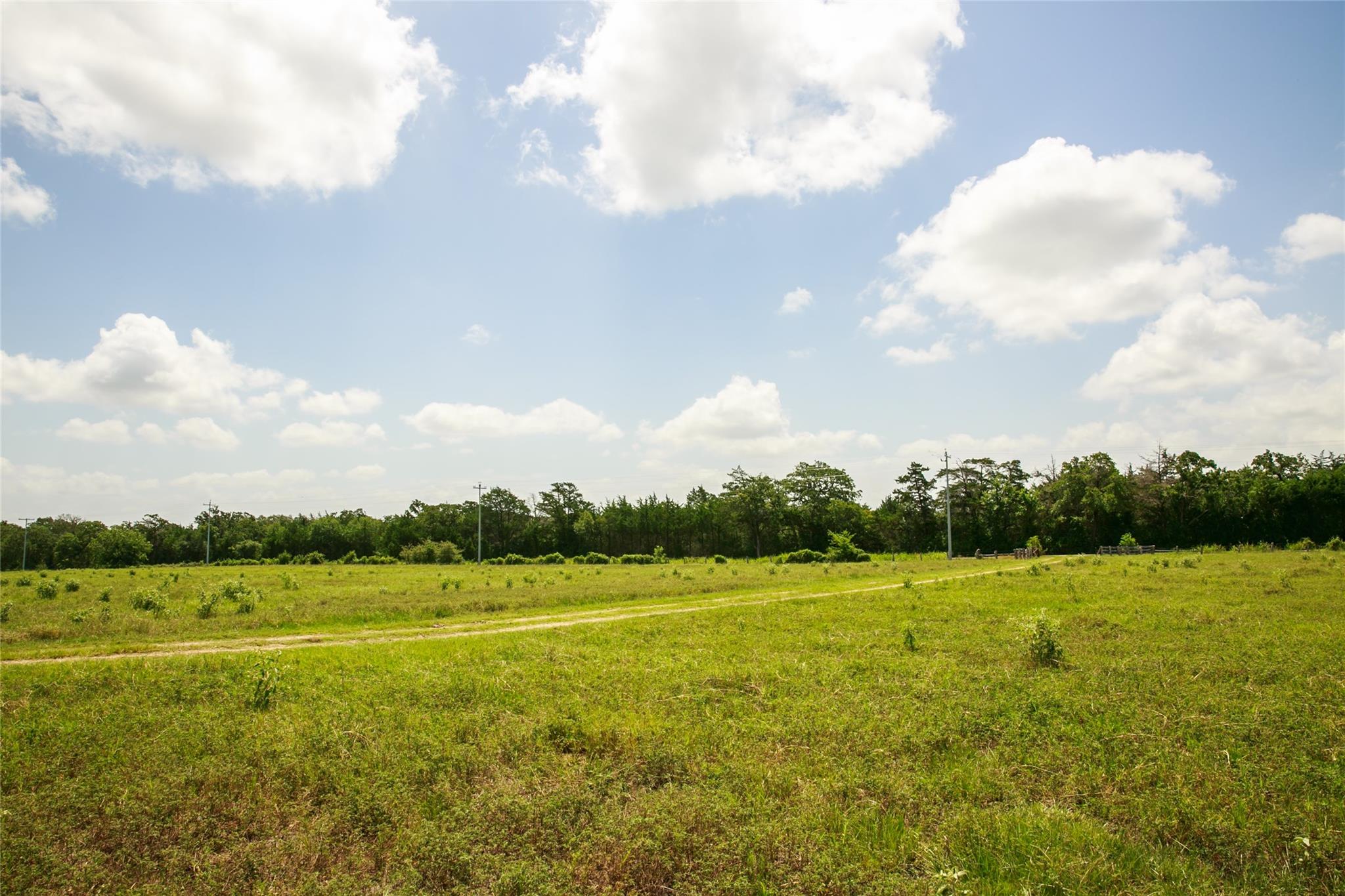 13150 Schoenemann Rd Property Photo 29