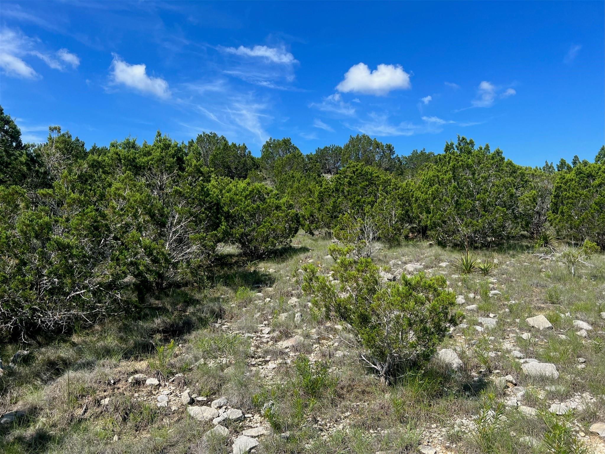Lot 652 Wagon Wheel Trl Property Photo 6