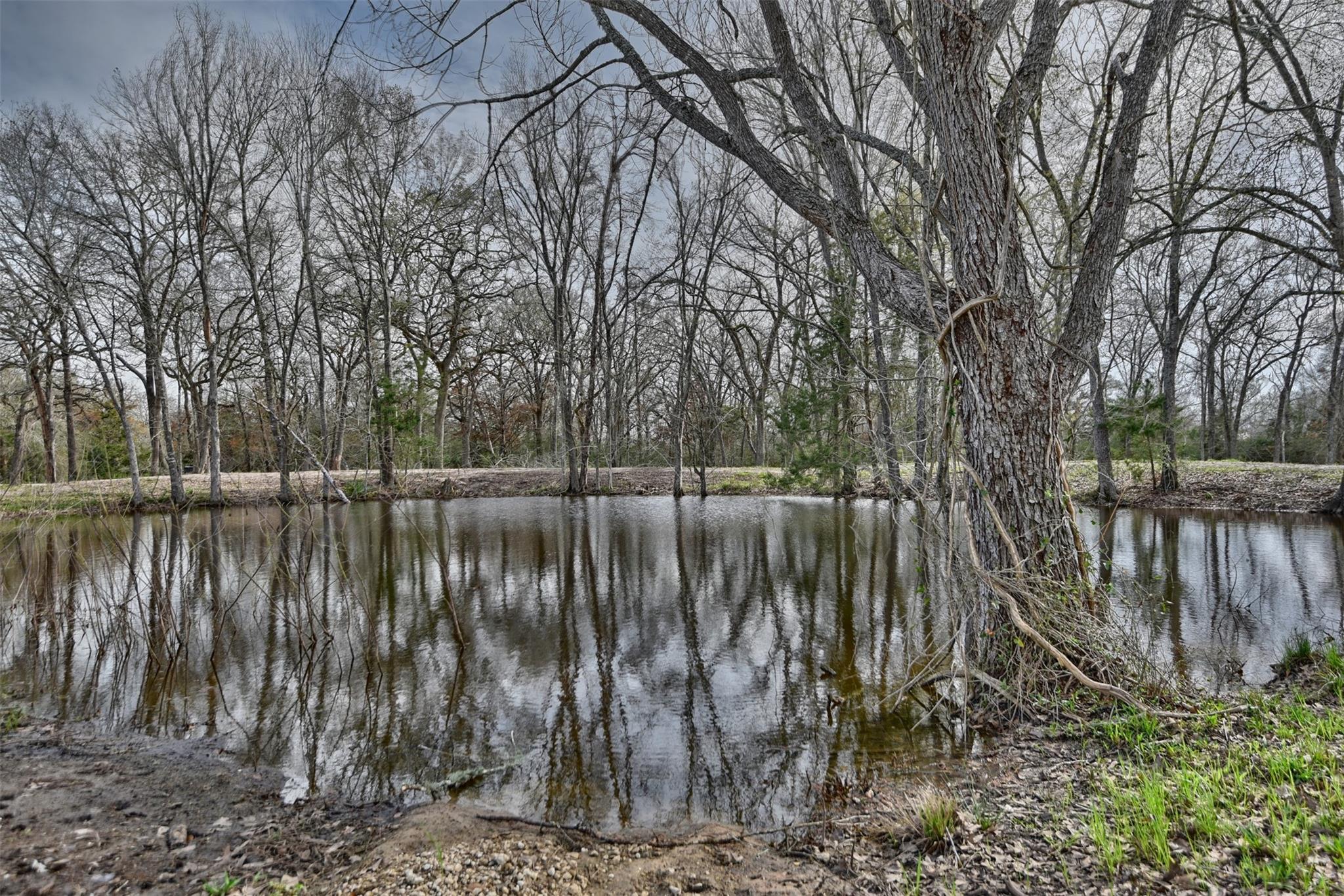 Tbd Allen Rd Property Photo 7