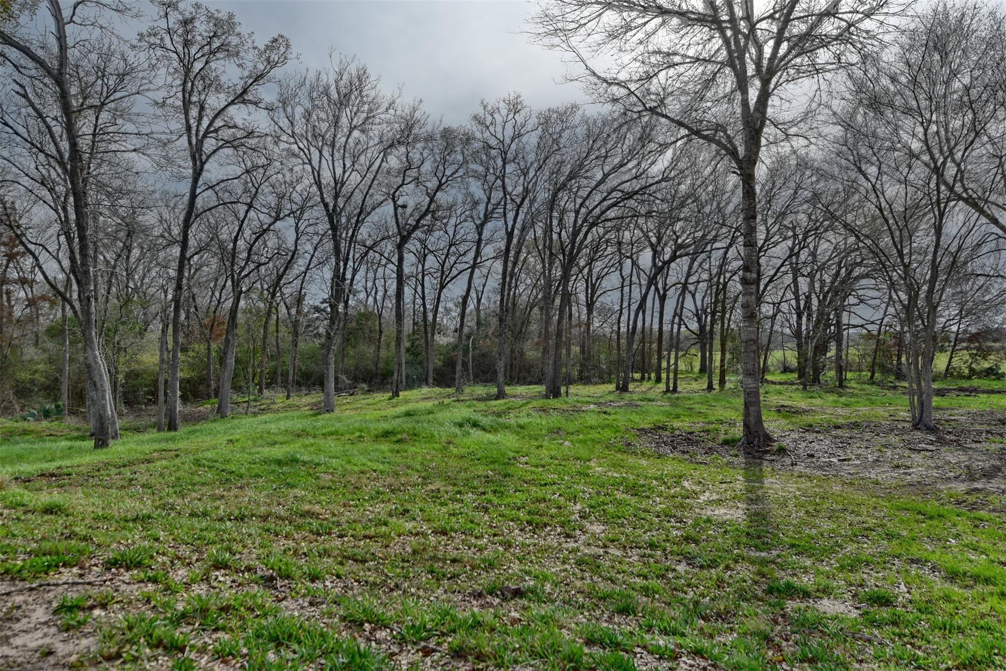 Tbd Allen Rd Property Photo 9